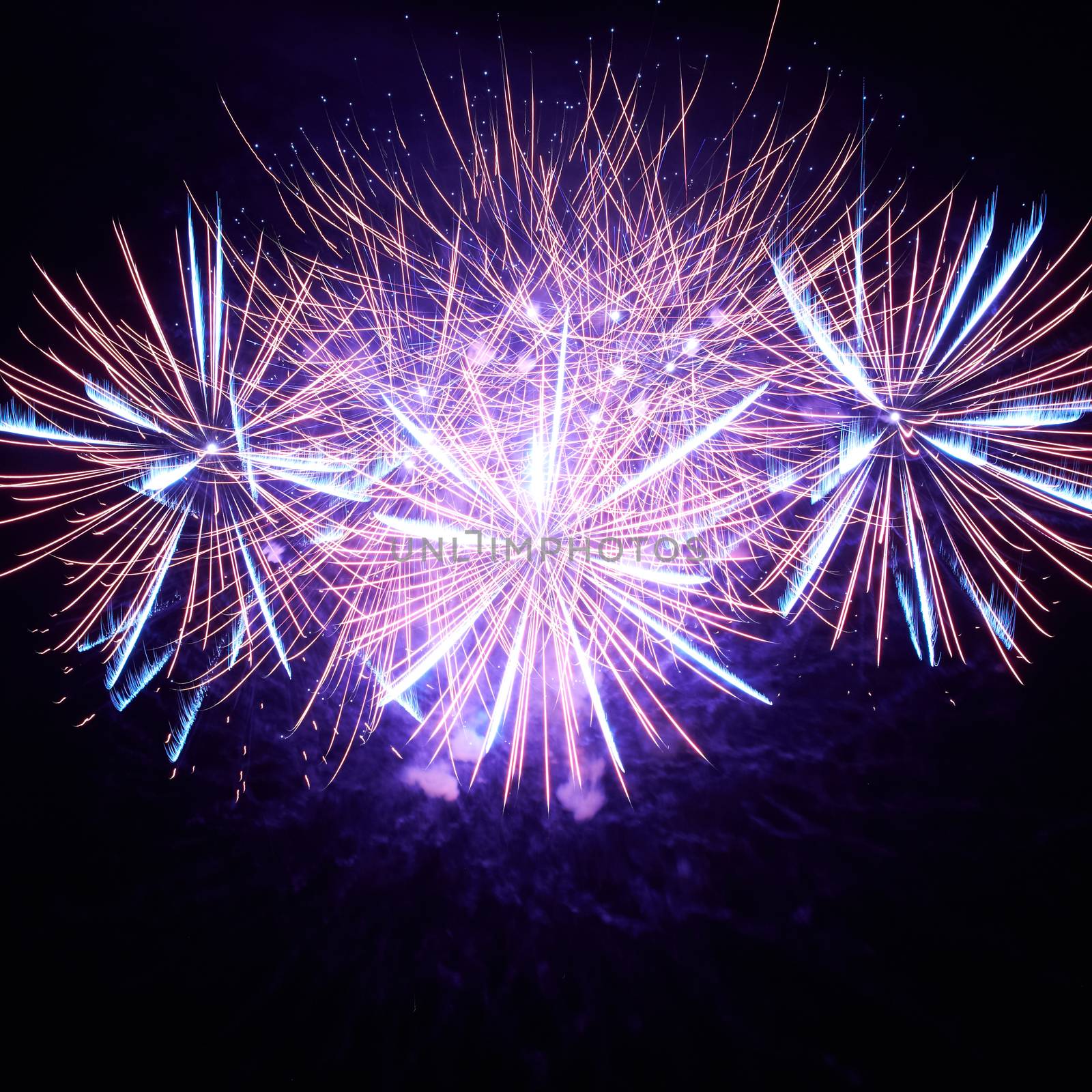 Blue colorful fireworks on the black sky background