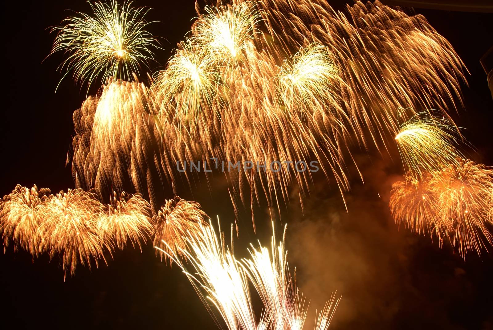 Colorful fireworks on the black sky background