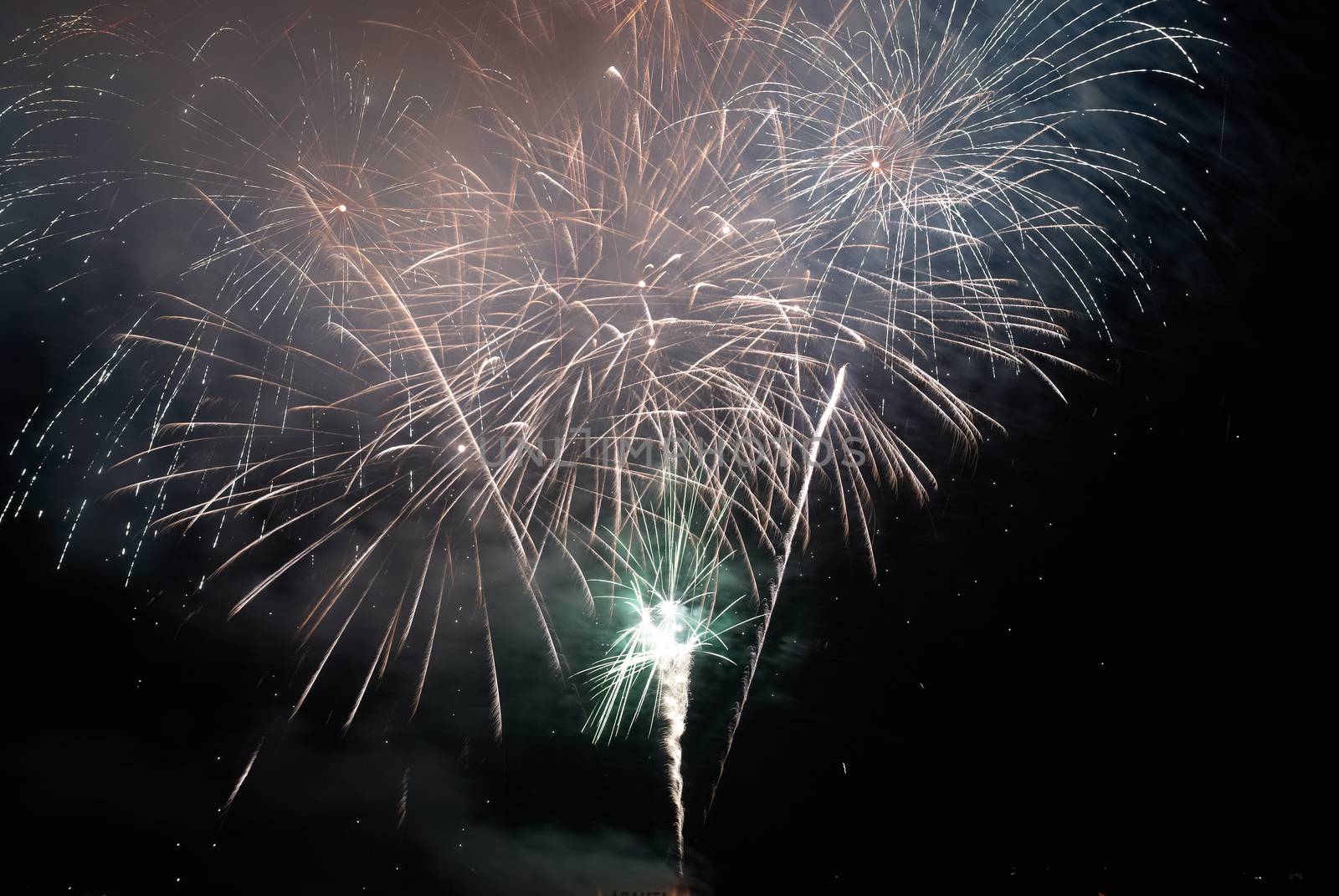 Colorful holiday fireworks on the black sky background.