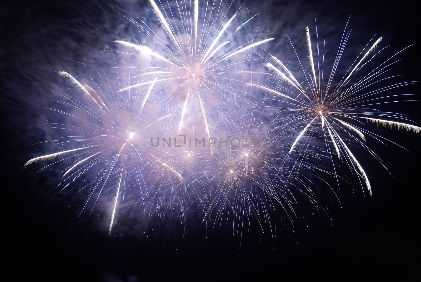 Colorful holiday fireworks on the black sky background.