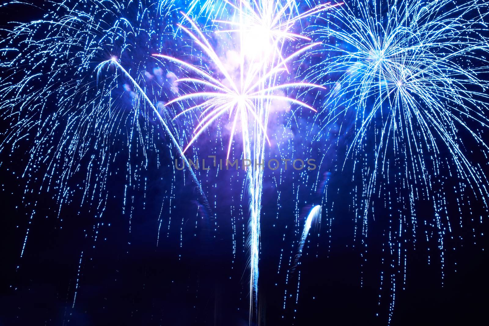 Blue colorful fireworks on the black sky background