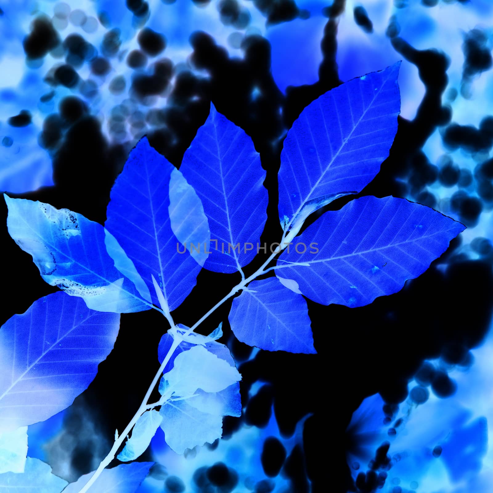 Abstract blue leaves by vapi