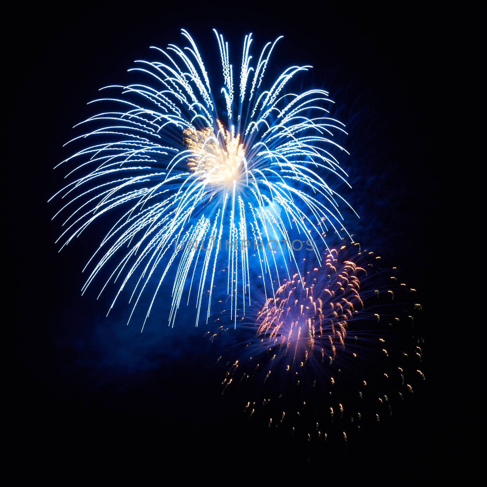 Blue colorful holiday fireworks on the black sky background.