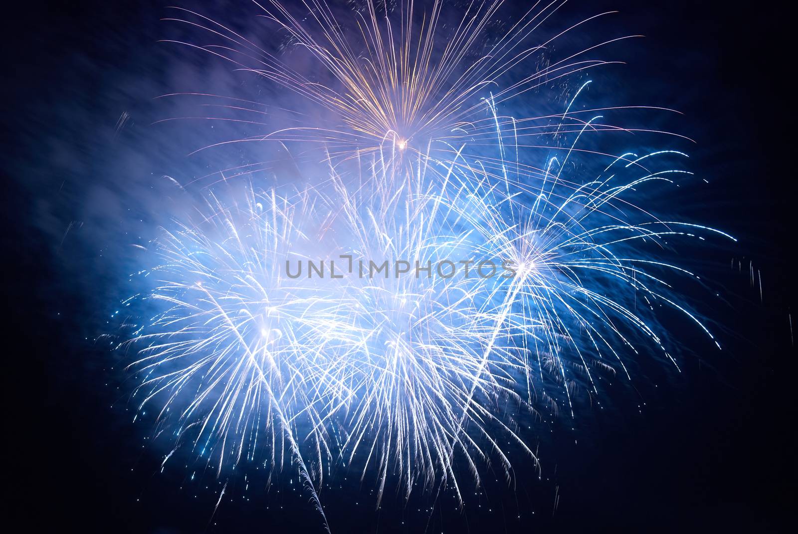 Blue colorful holiday fireworks on the black sky background.