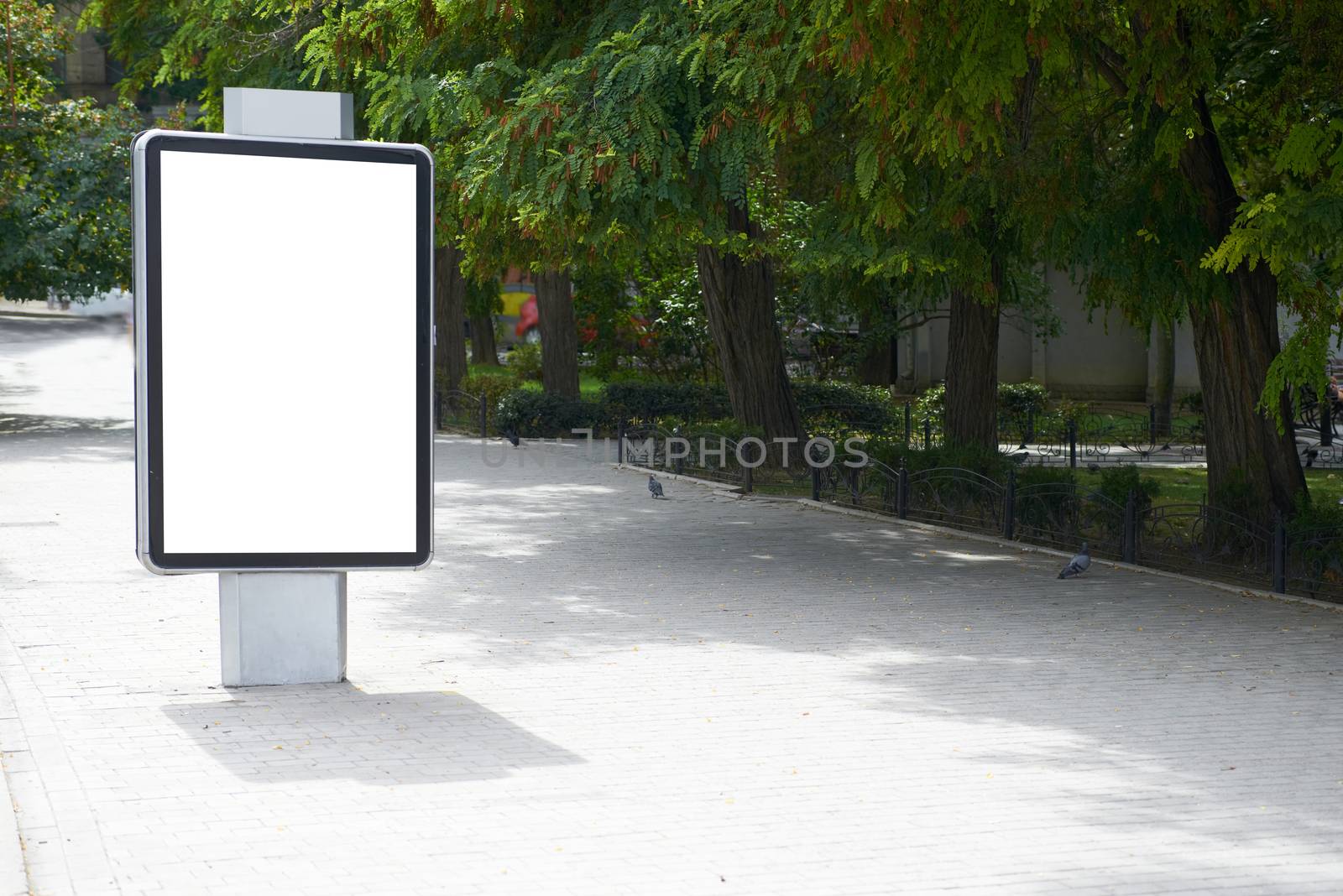 Vertical blank billboard on the city street