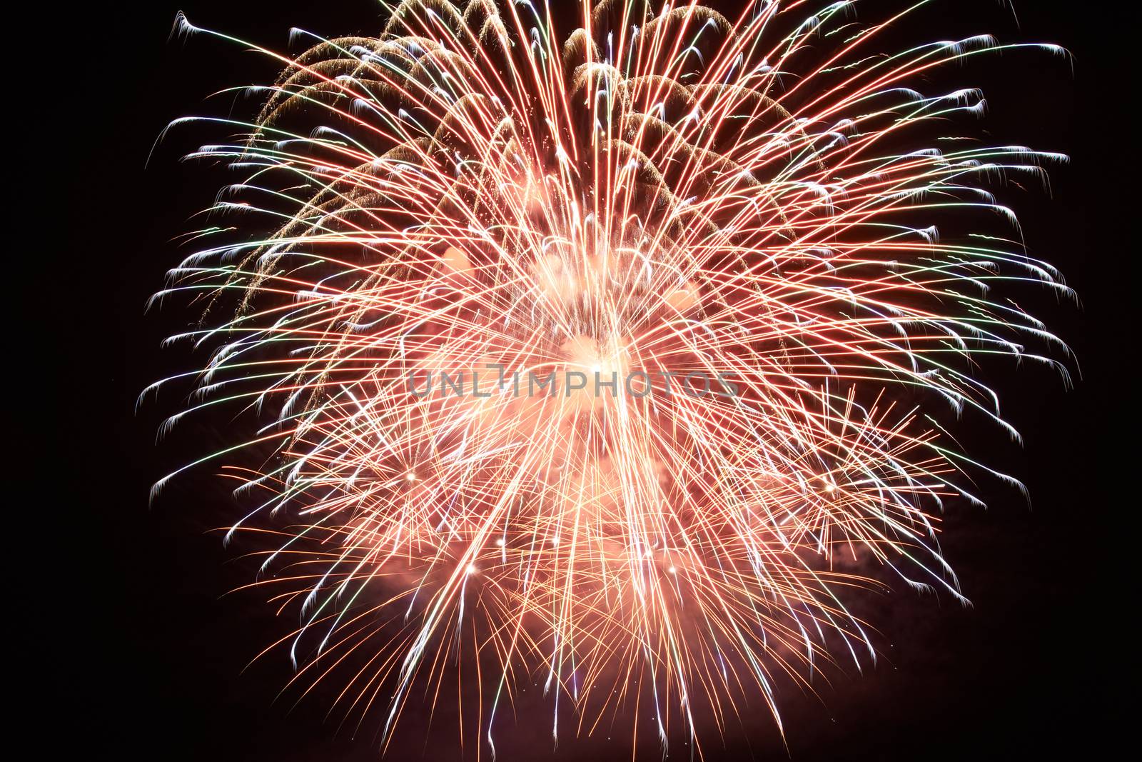 Red colorful holiday fireworks on the black sky background.