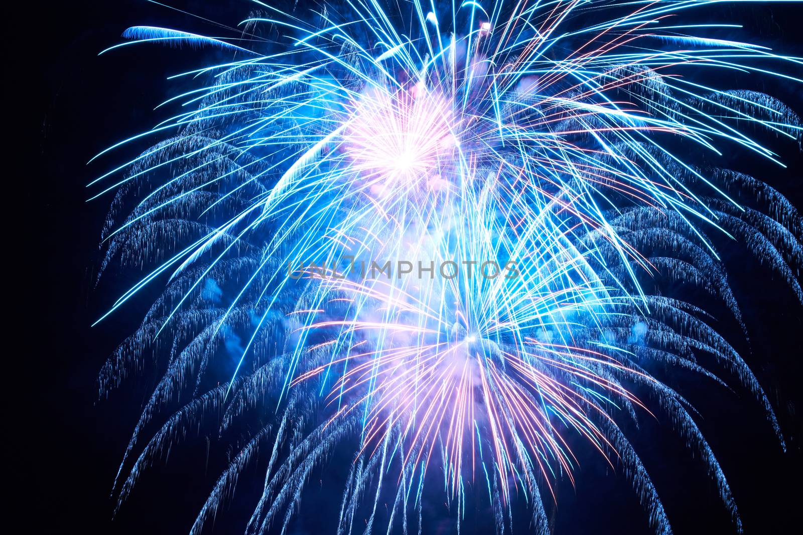 Blue colorful fireworks on the black sky background