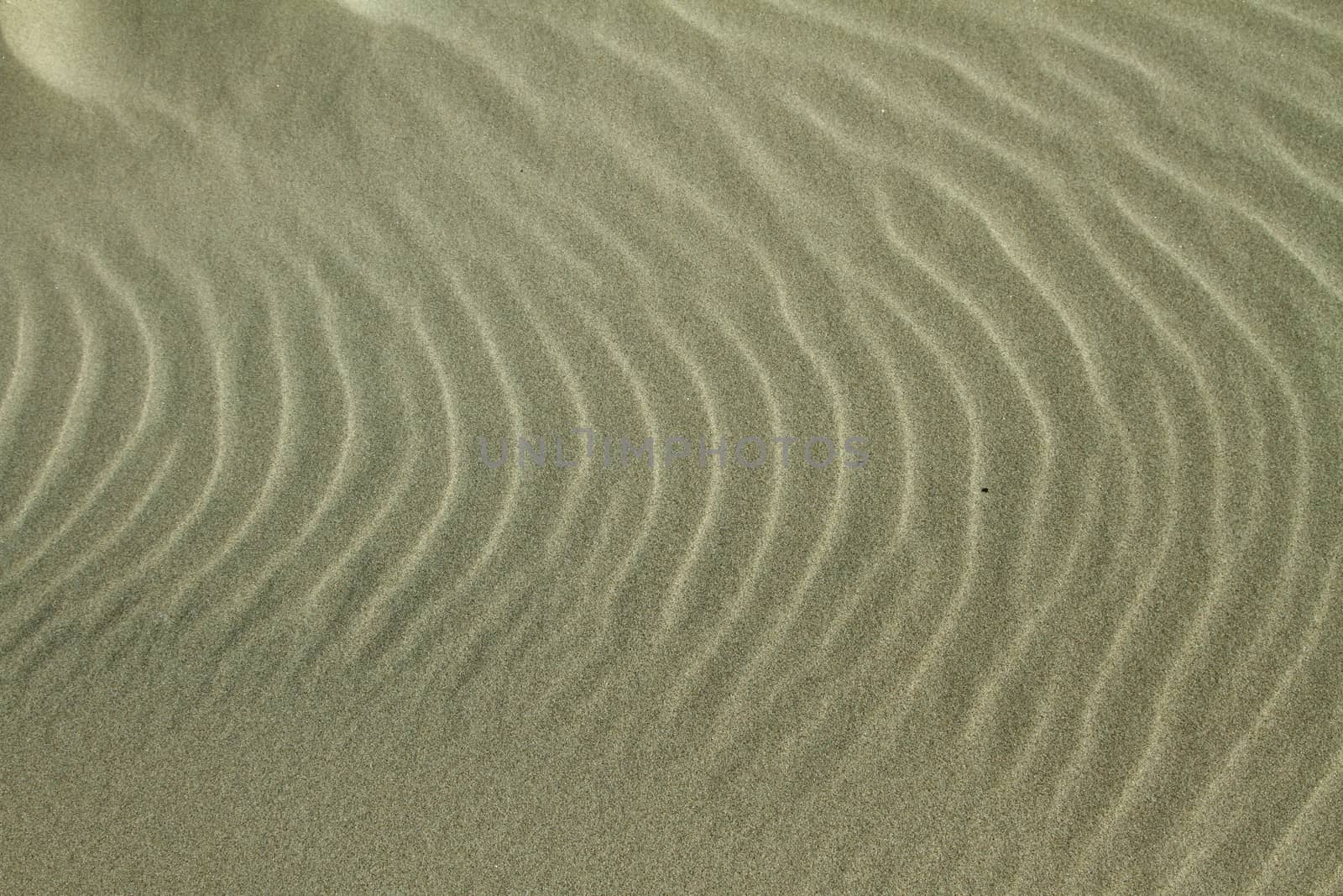 At the beach in the summer in Denmark