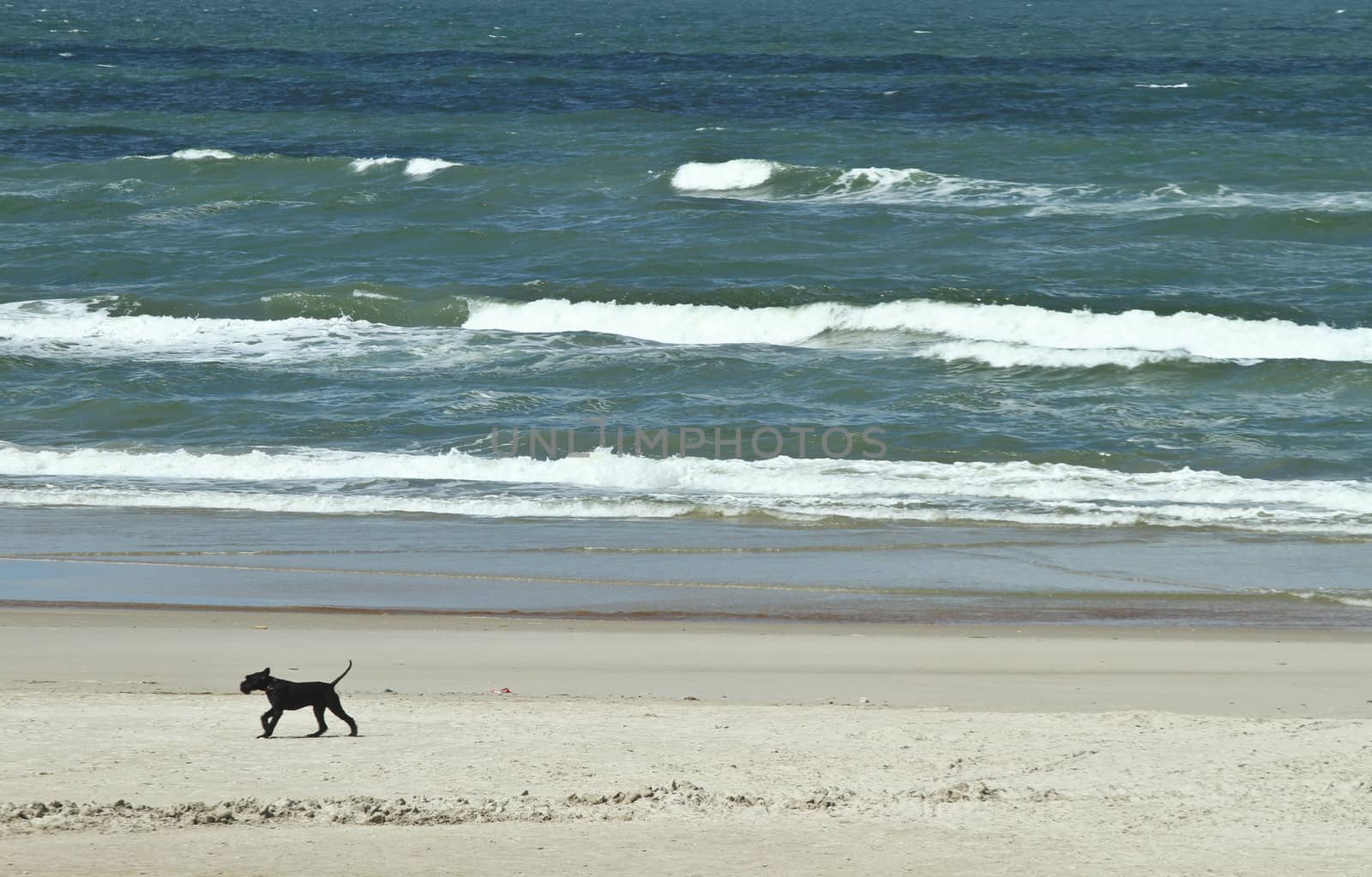 At the beach in the summer in Denmark