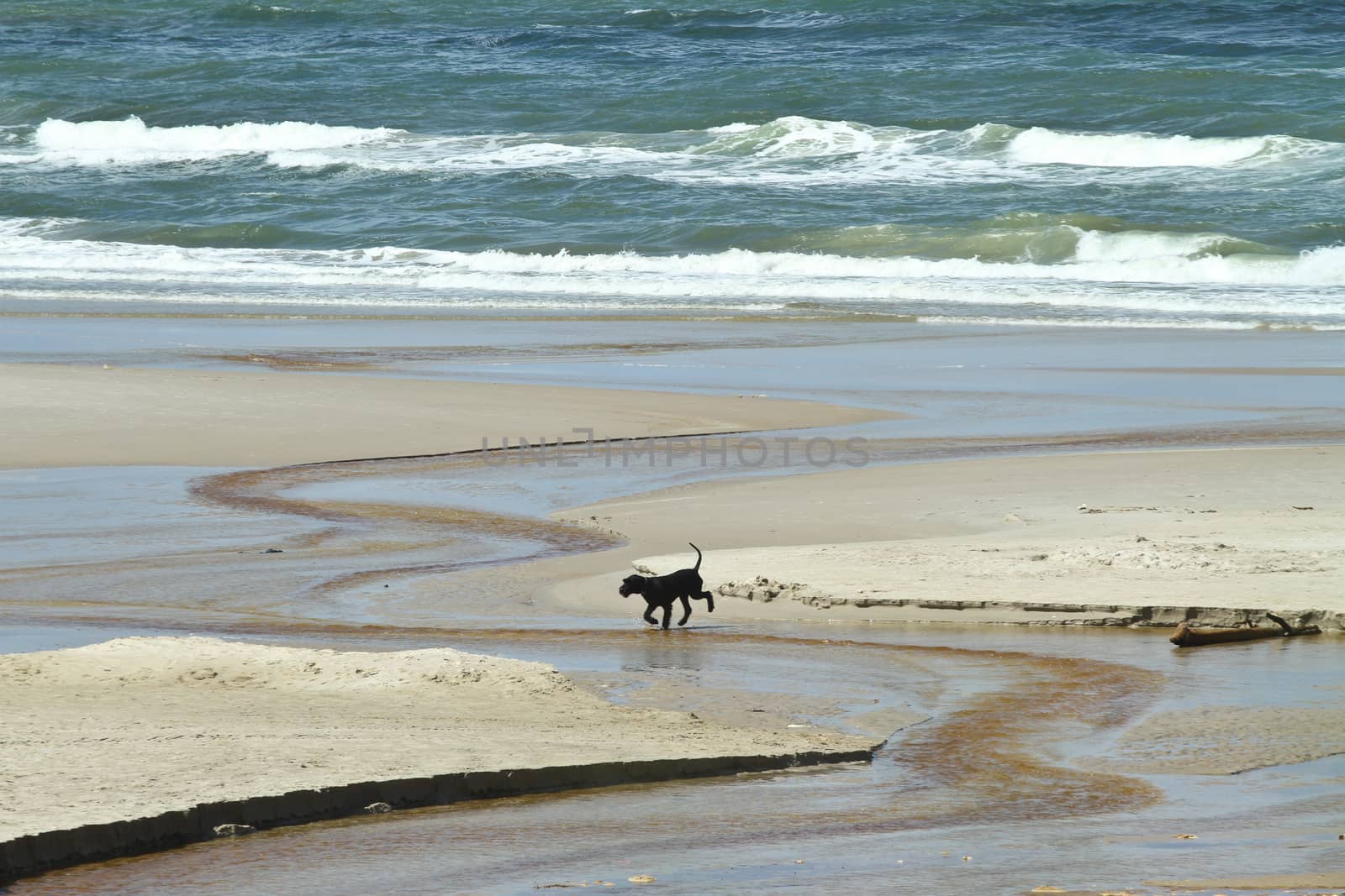 At the beach in the summer in Denmark