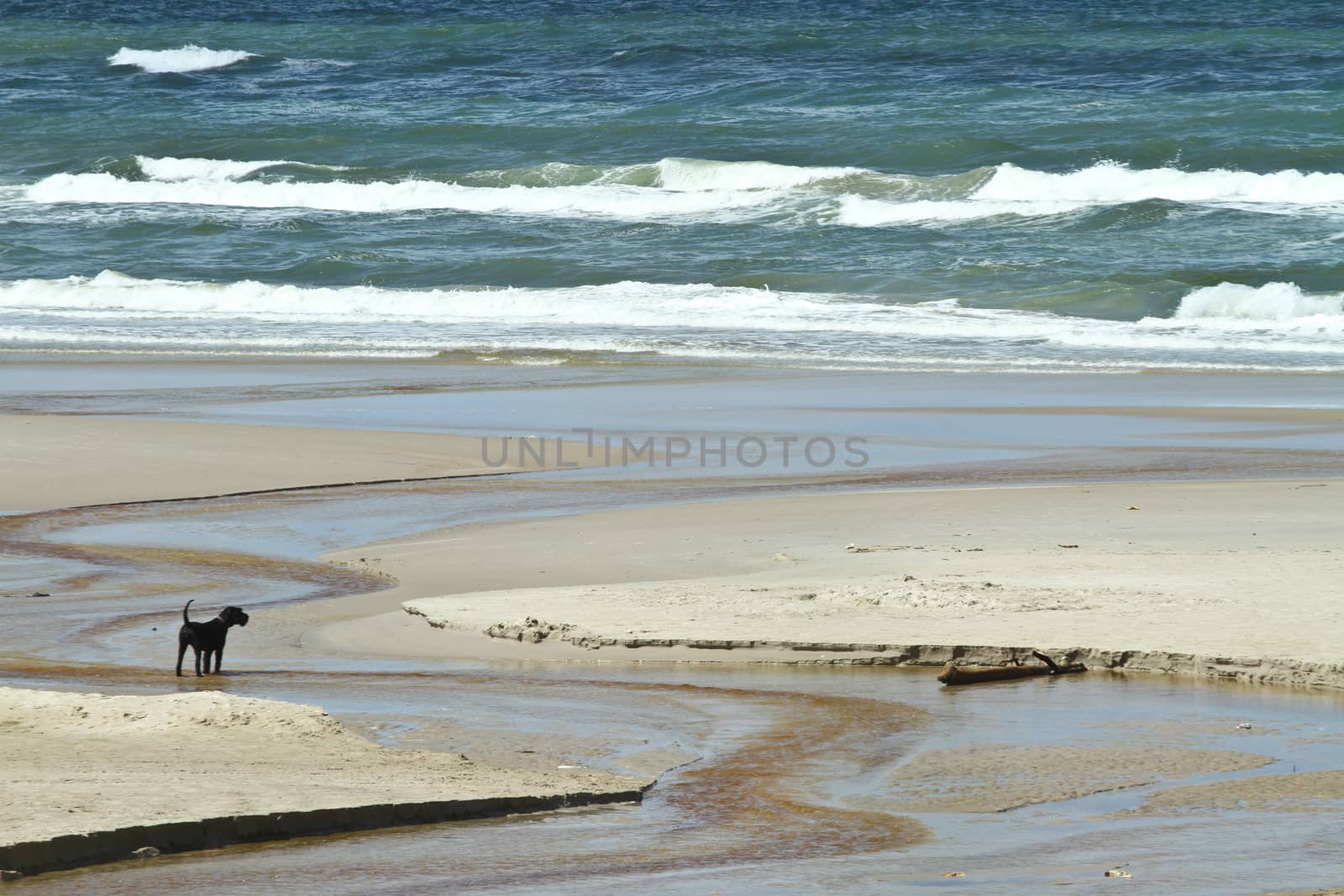 At the beach in the summer in Denmark
