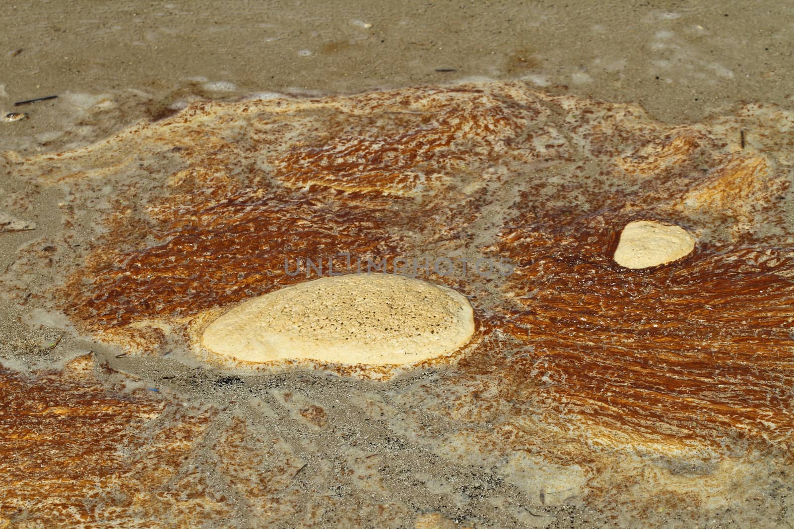 At the beach in the summer in Denmark