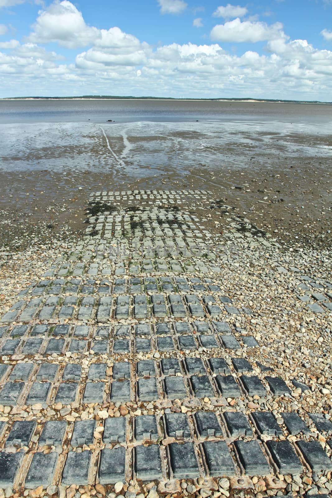 At the beach in the summer in Denmark