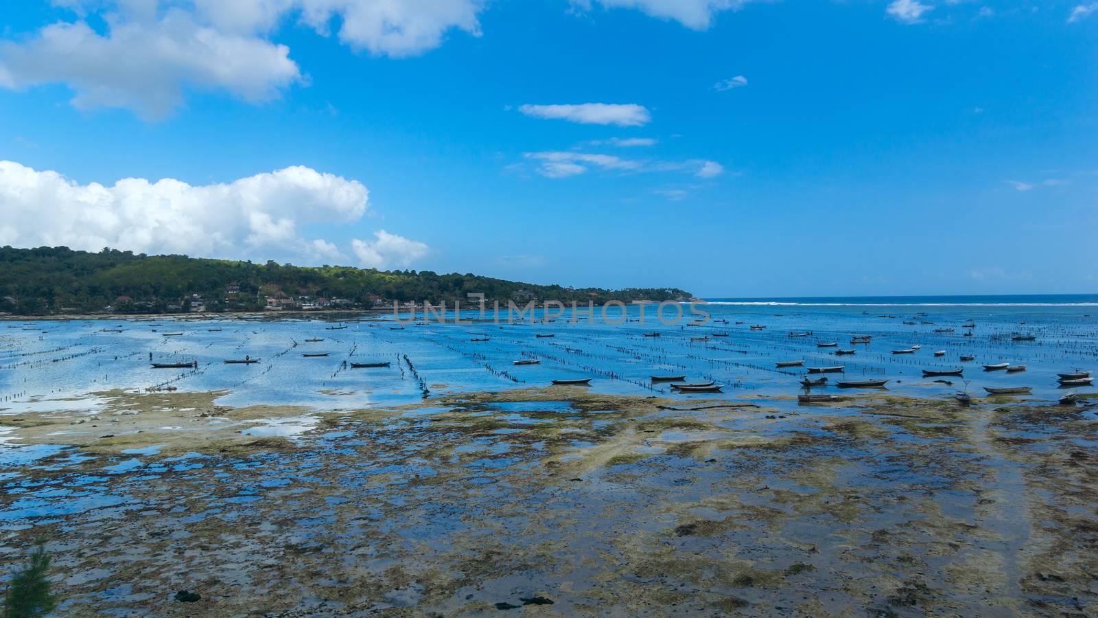 Fishing boats on the coastline of island Bali in Indonesia. Seaside Plantation shellfish.