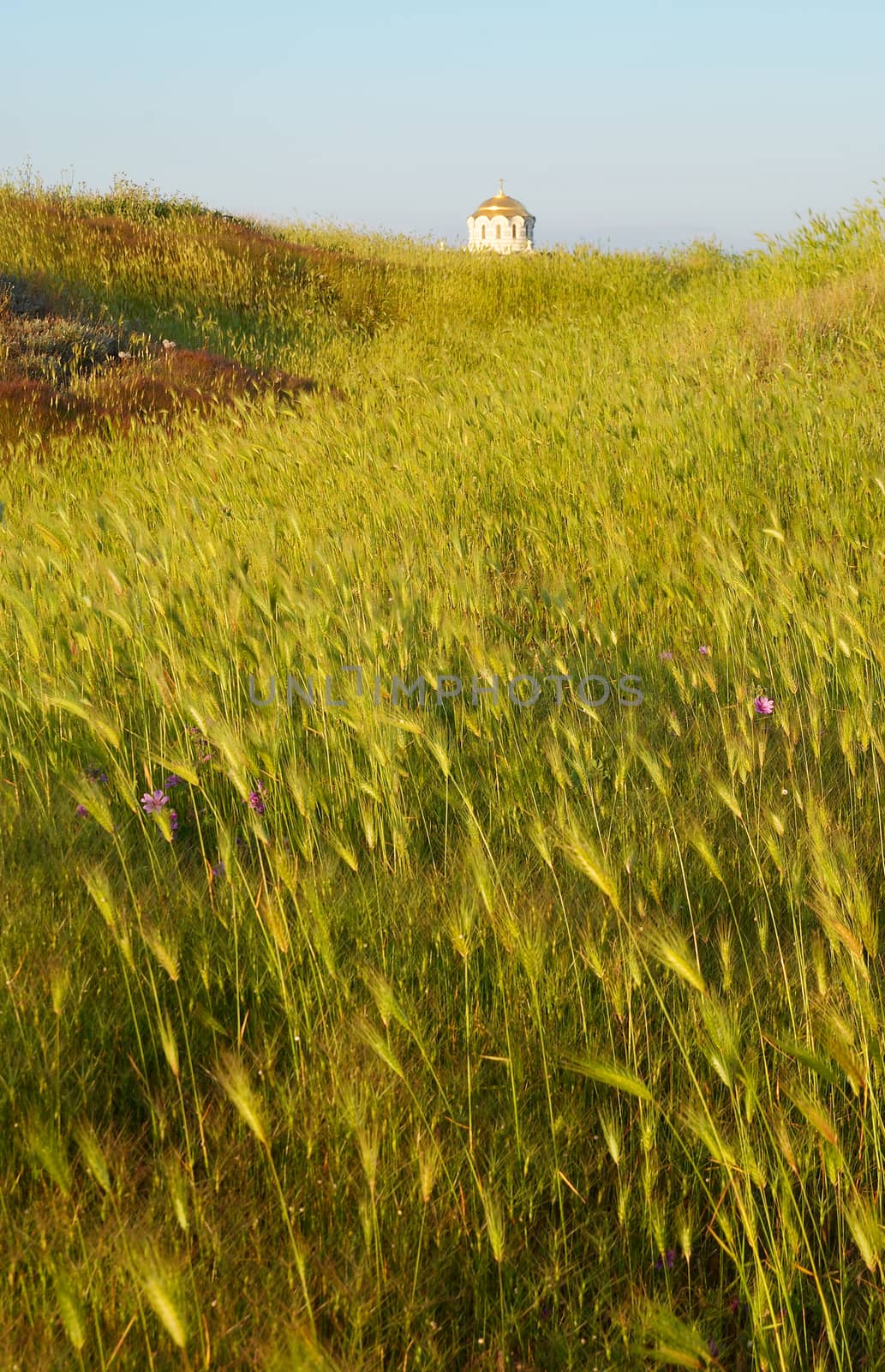 Field of grass and the temple. Antique Chersonesos. by vapi