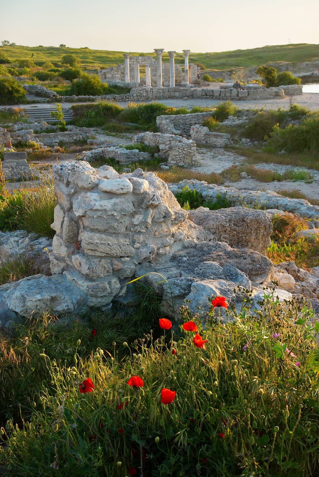 Ruins of antique Chersonesos. Ukraine, Sevastopol. by vapi