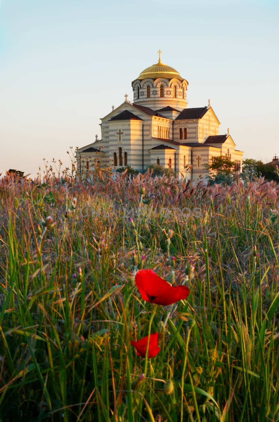 Temple and the poppy. by vapi