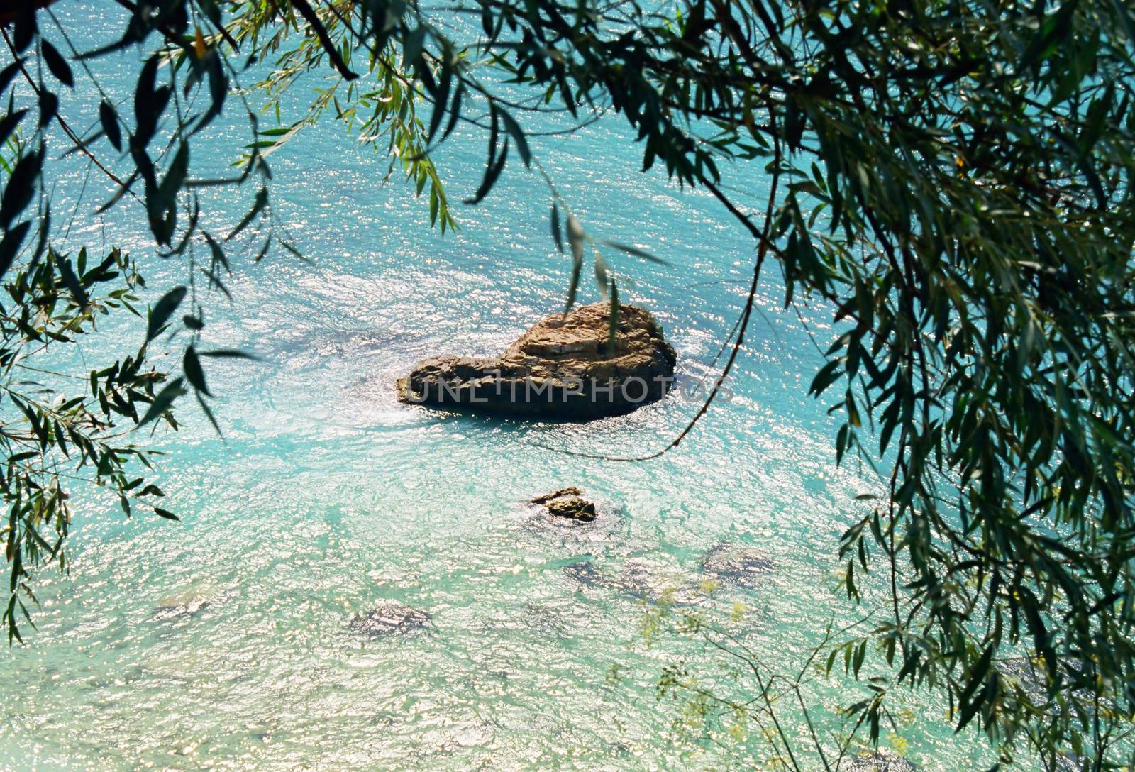 Rock in the sea and the leaves.