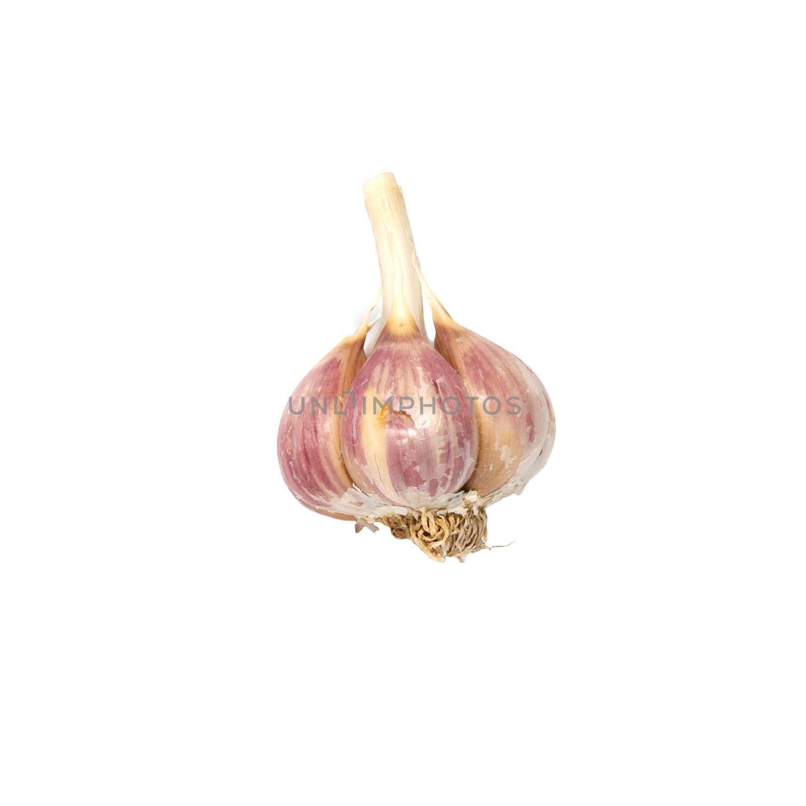 A garlic bulb isolated on white. by vapi