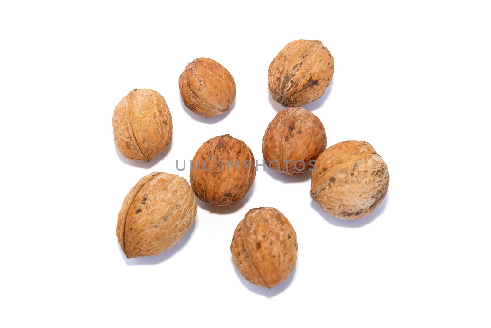A group of walnuts isolated on white. by vapi