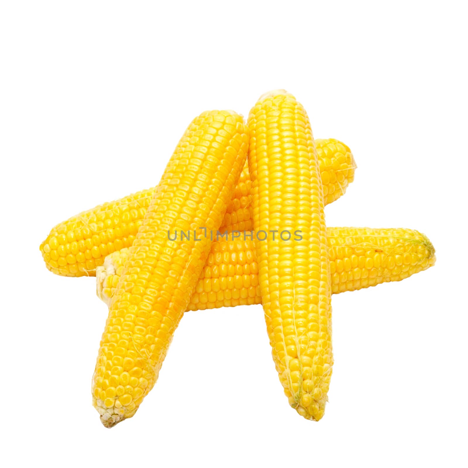 Yellow young corns isolated on white. by vapi