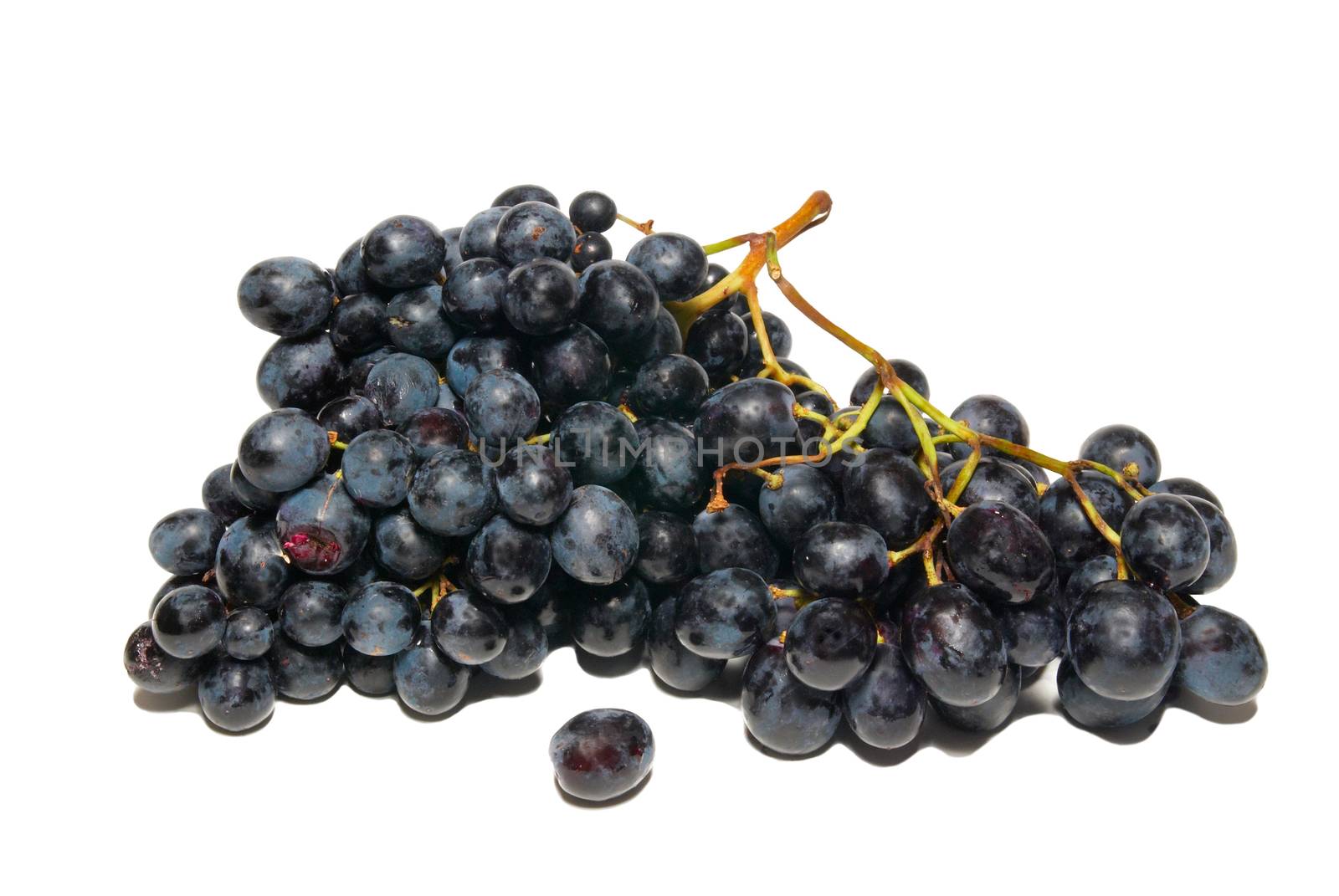 Black grapes isolated on white. by vapi