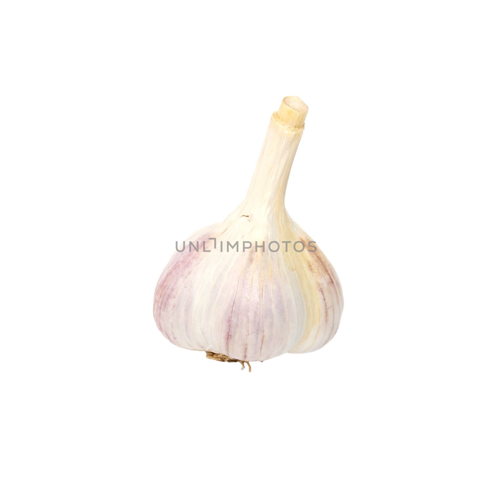 A garlic bulb isolated on white. by vapi