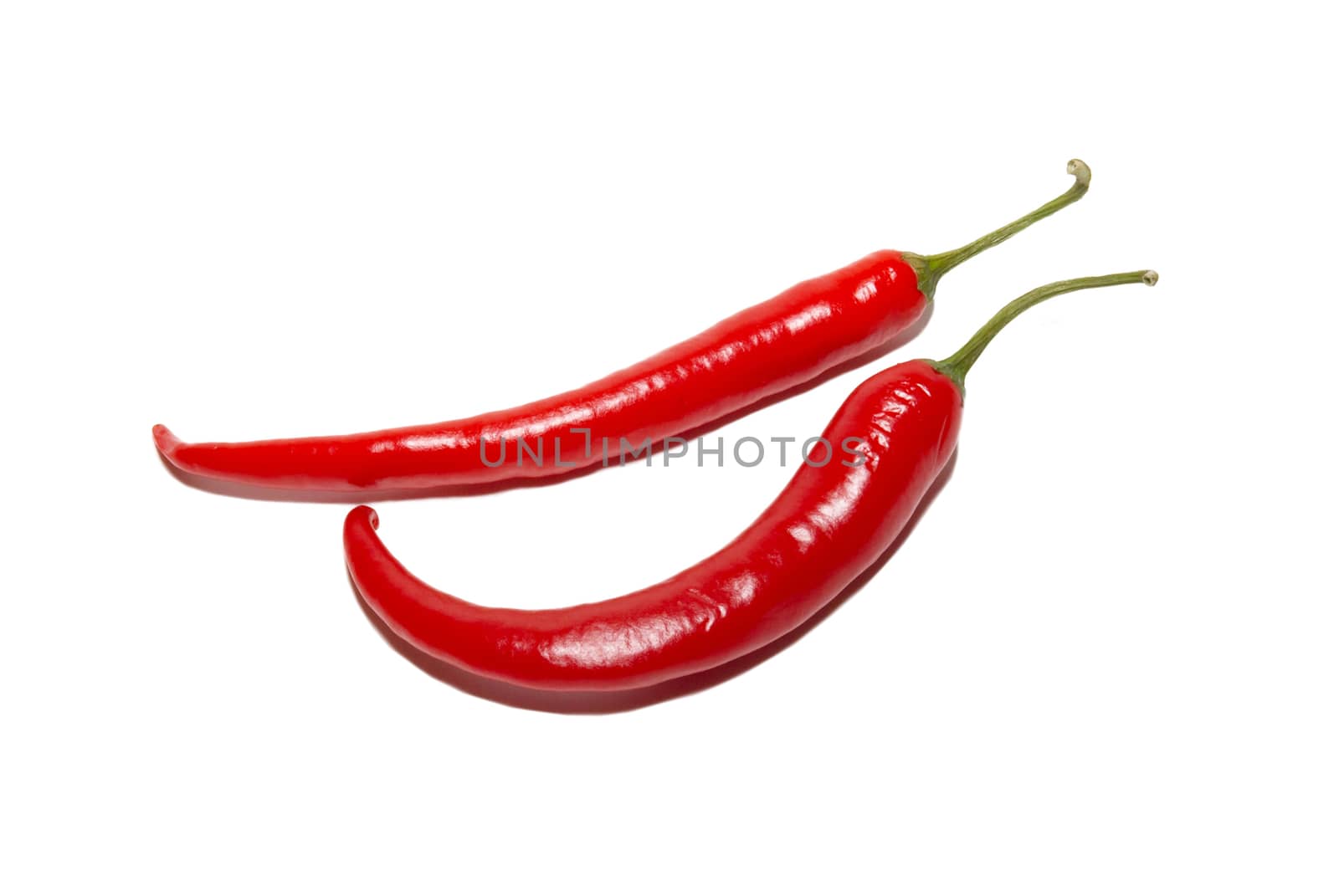 Two red hot chili peppers isolated on white.