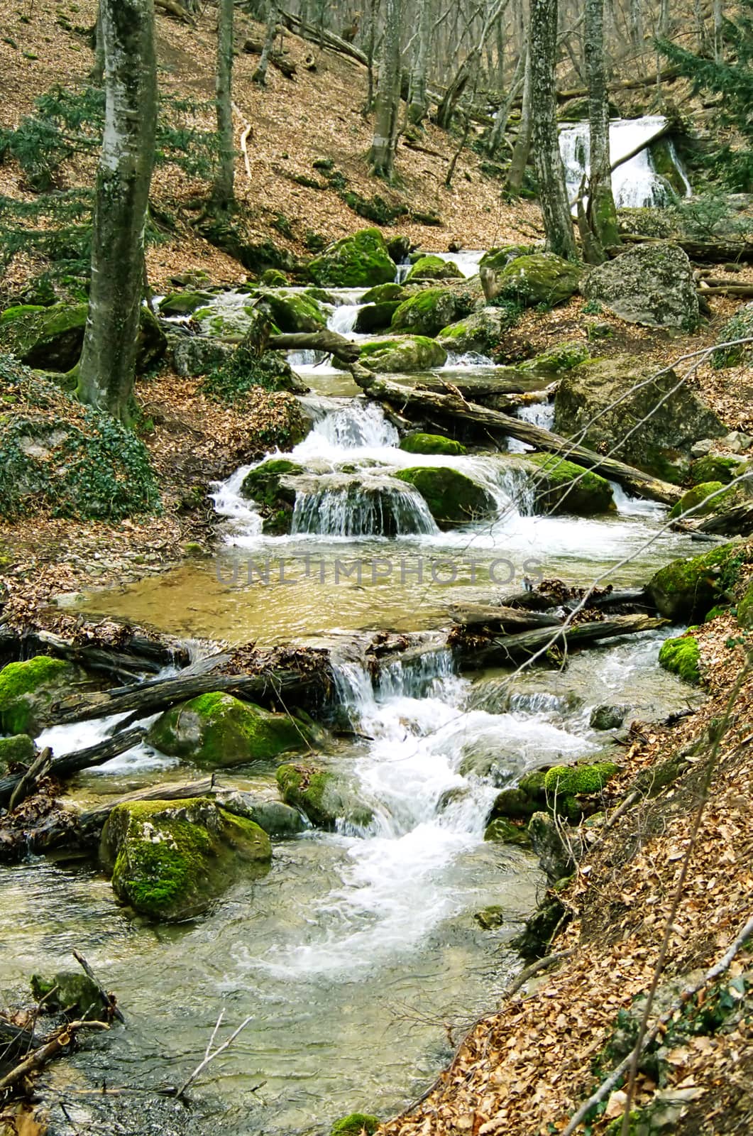 Rapid mountain river in the autumn forest.