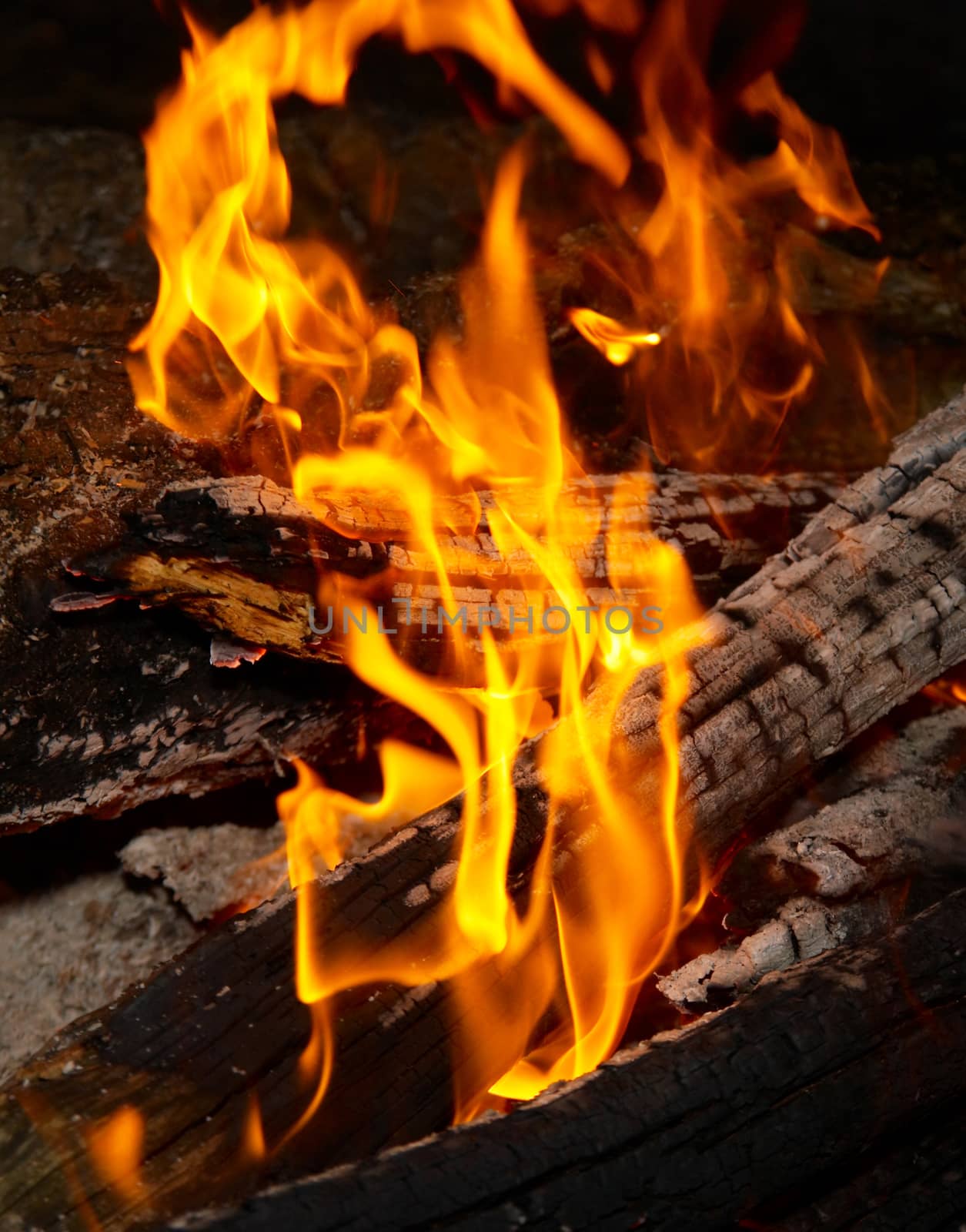 Flame tips on the firewood. by vapi