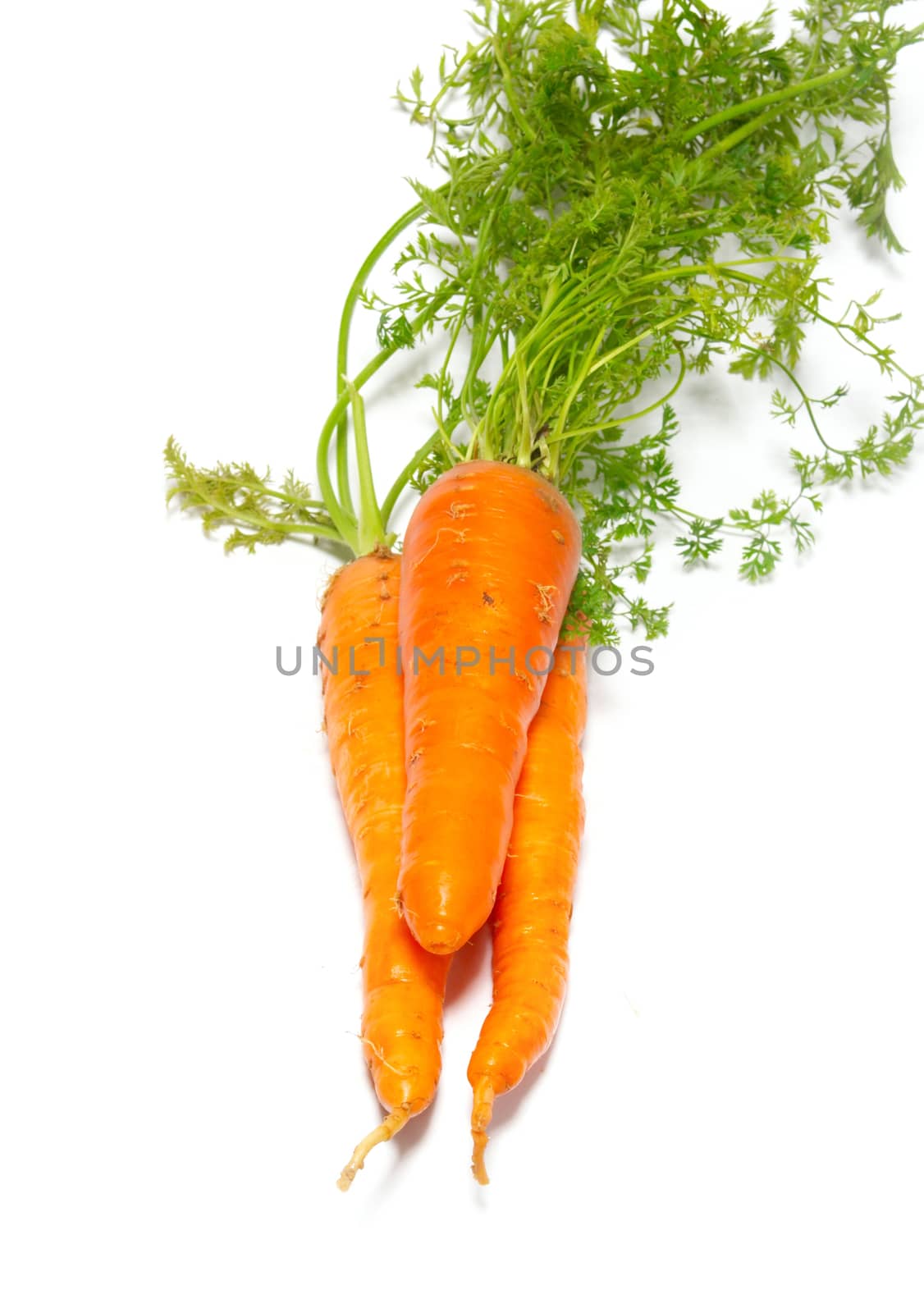 Carrots isolated on white.