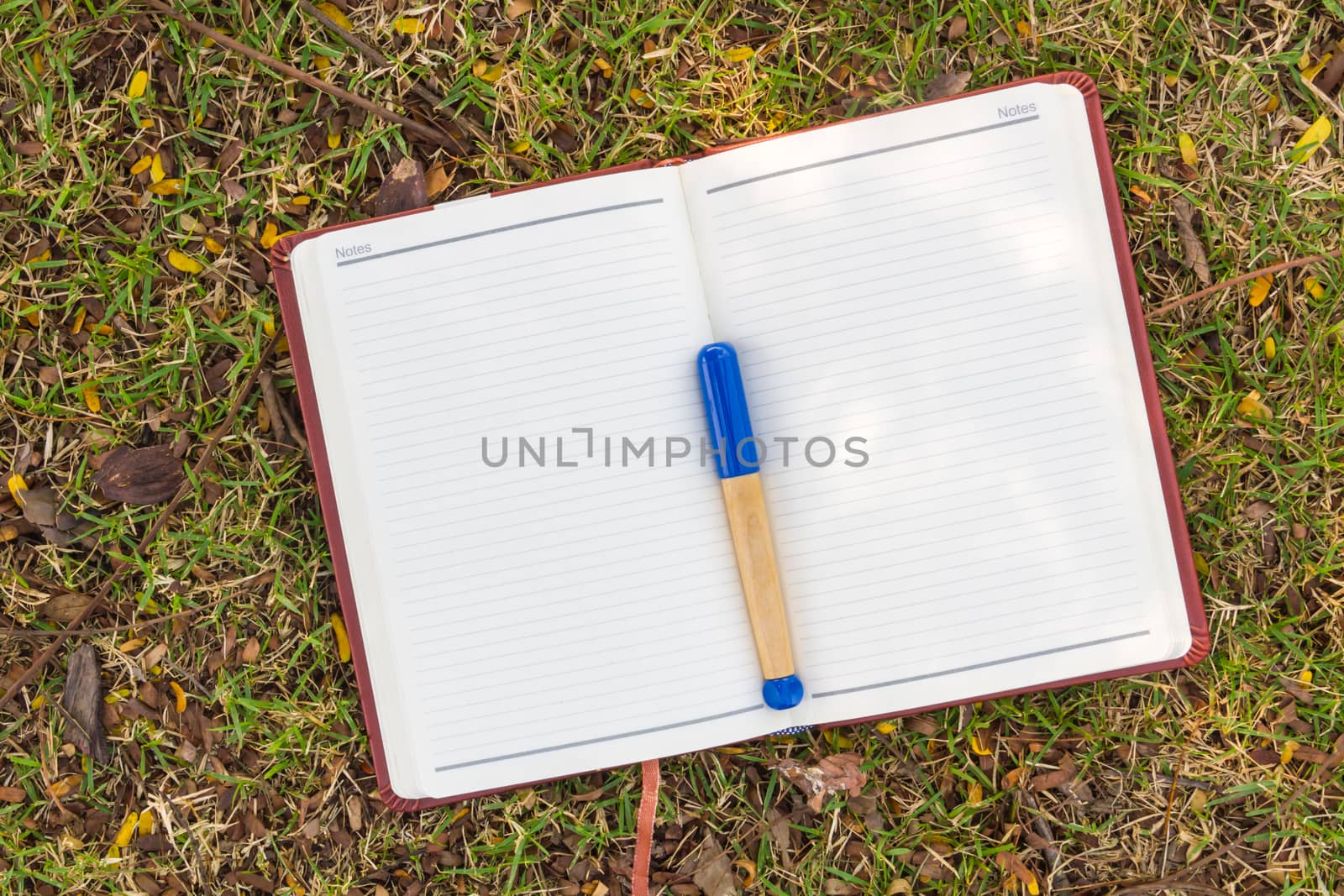 Blank notebook on the grass with blue pen in the park. View from above