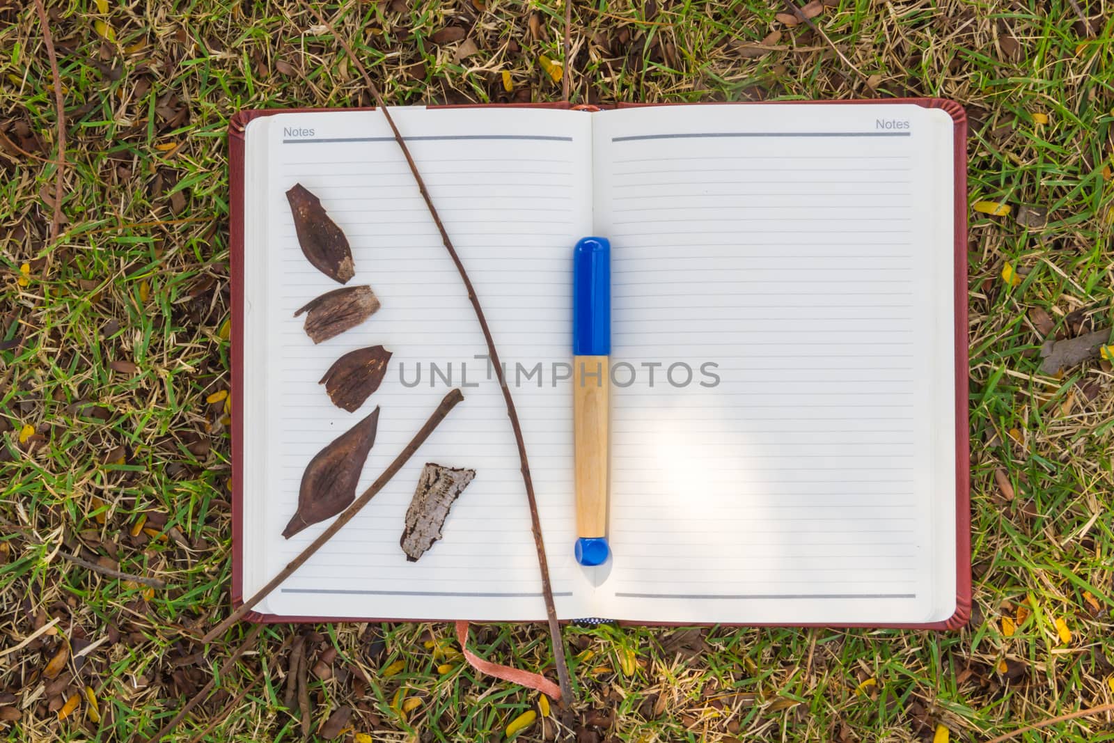 Blank notebook on the grass with bark and blue pen in the park. View from above.