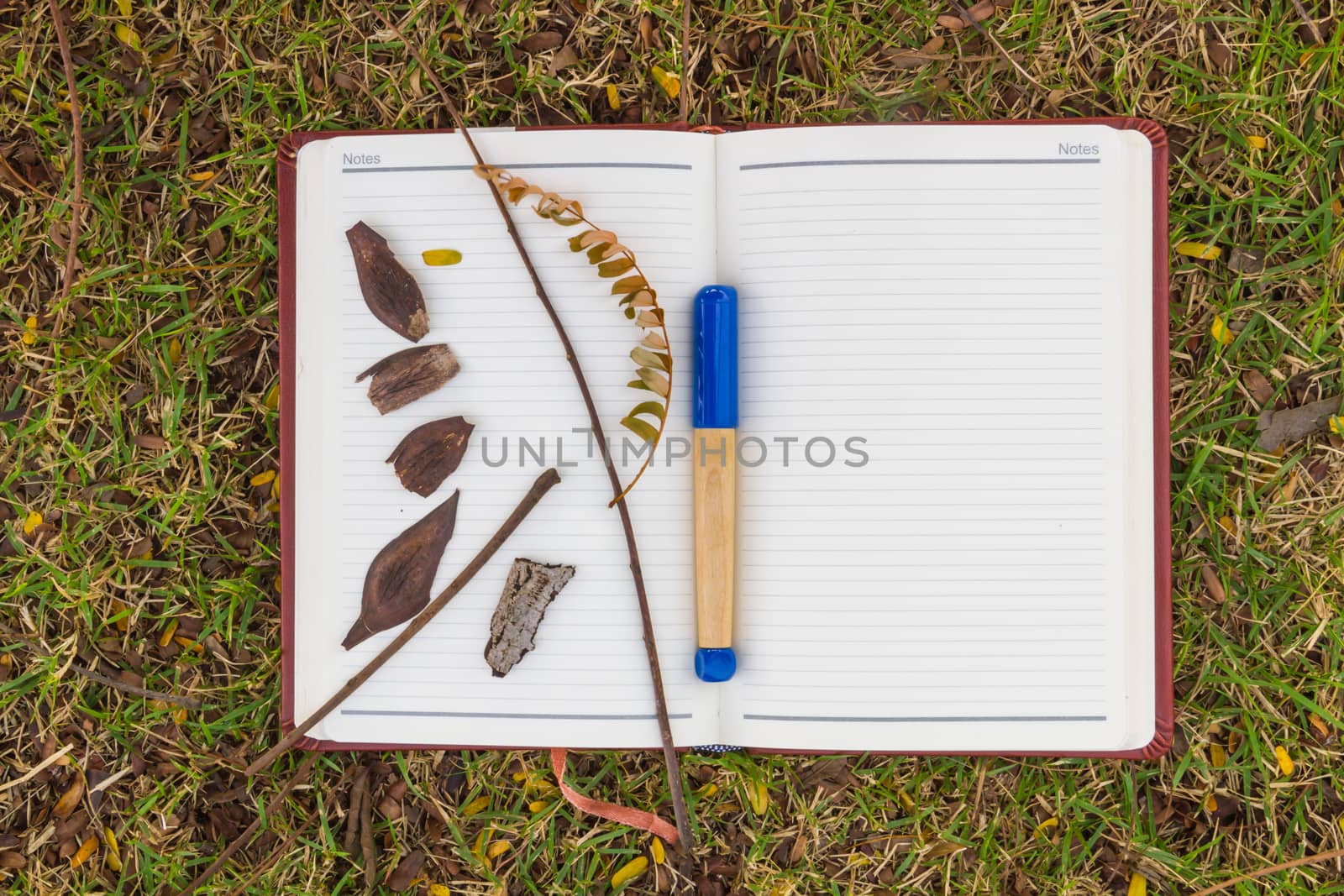 Blank notebook on the grass with bark and blue pen in the park. View from above.