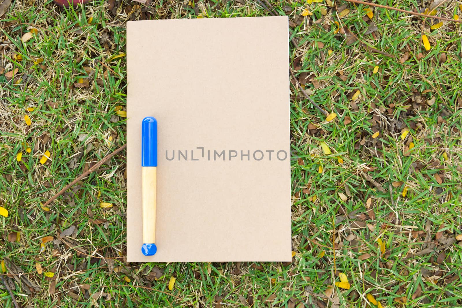 Blank notebook on the grass with blue pen in the park. View from above