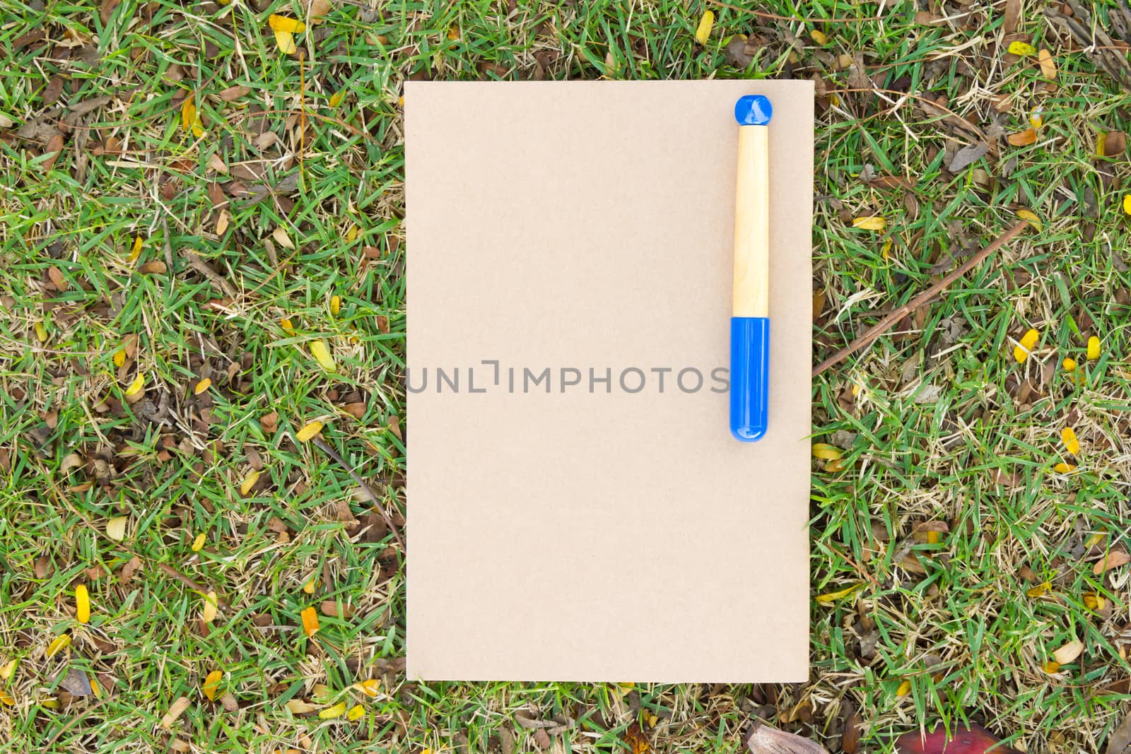 Blank notebook on the grass with blue pen in the park. View from above