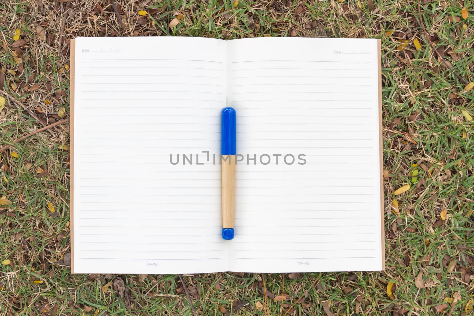 Blank notebook on the grass with blue pen in the park. View from above