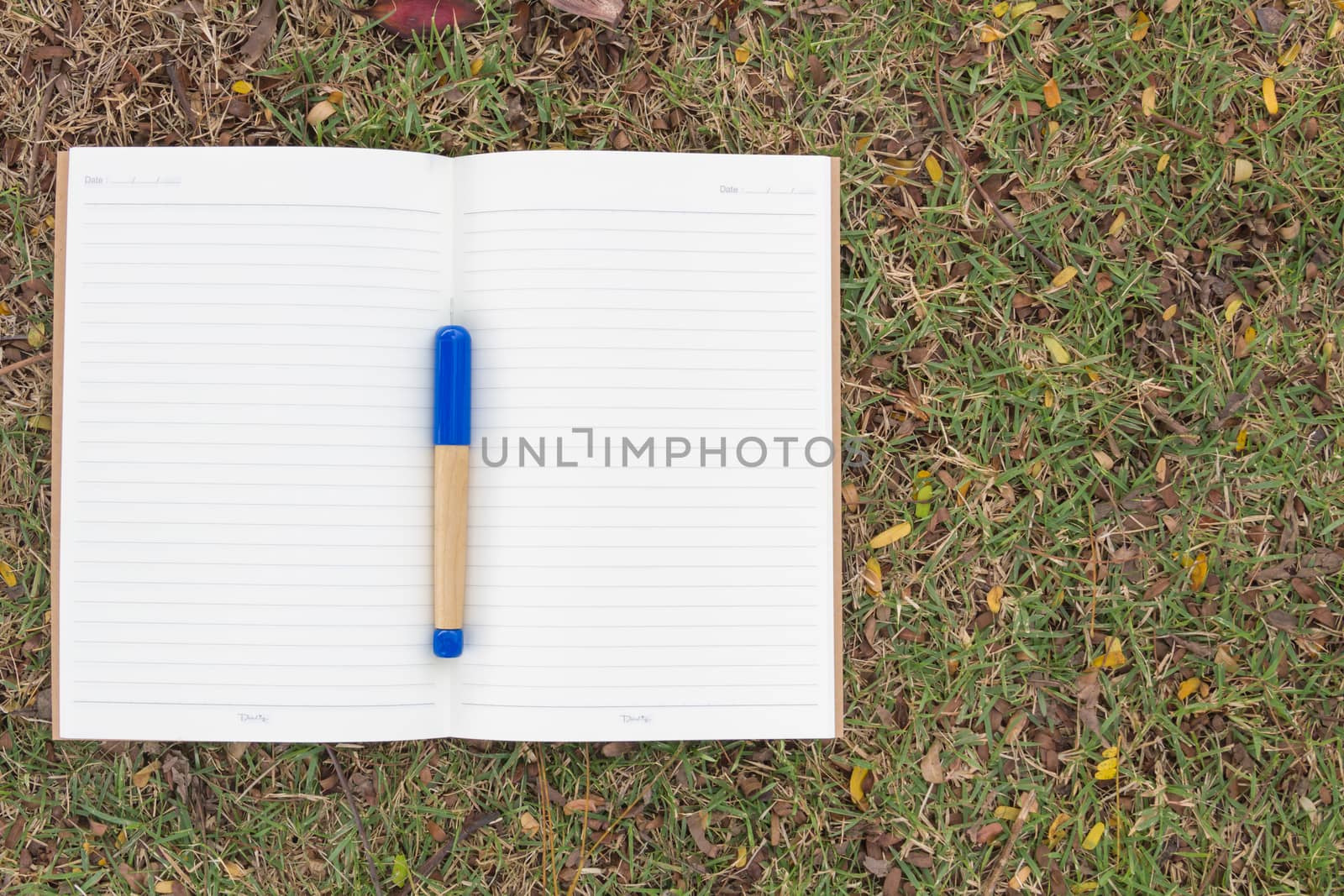 Blank notebook on the grass with blue pen in the park. View from above