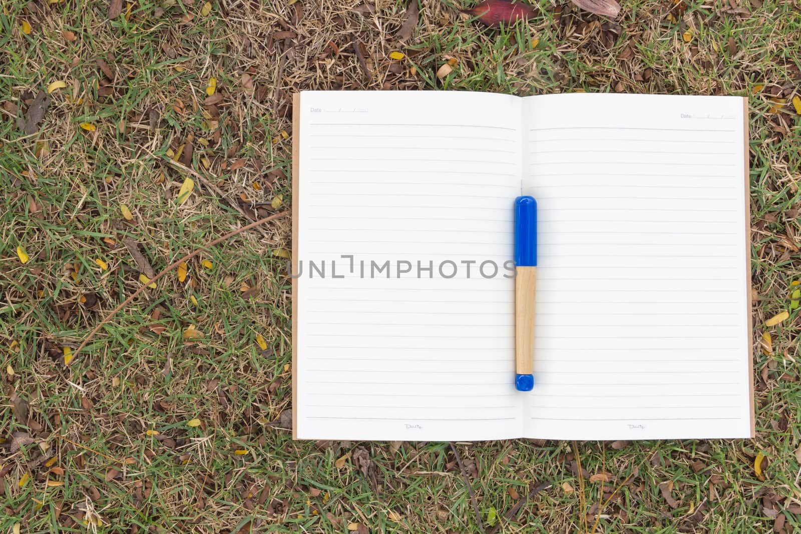 Blank notebook on the grass with blue pen in the park. View from above