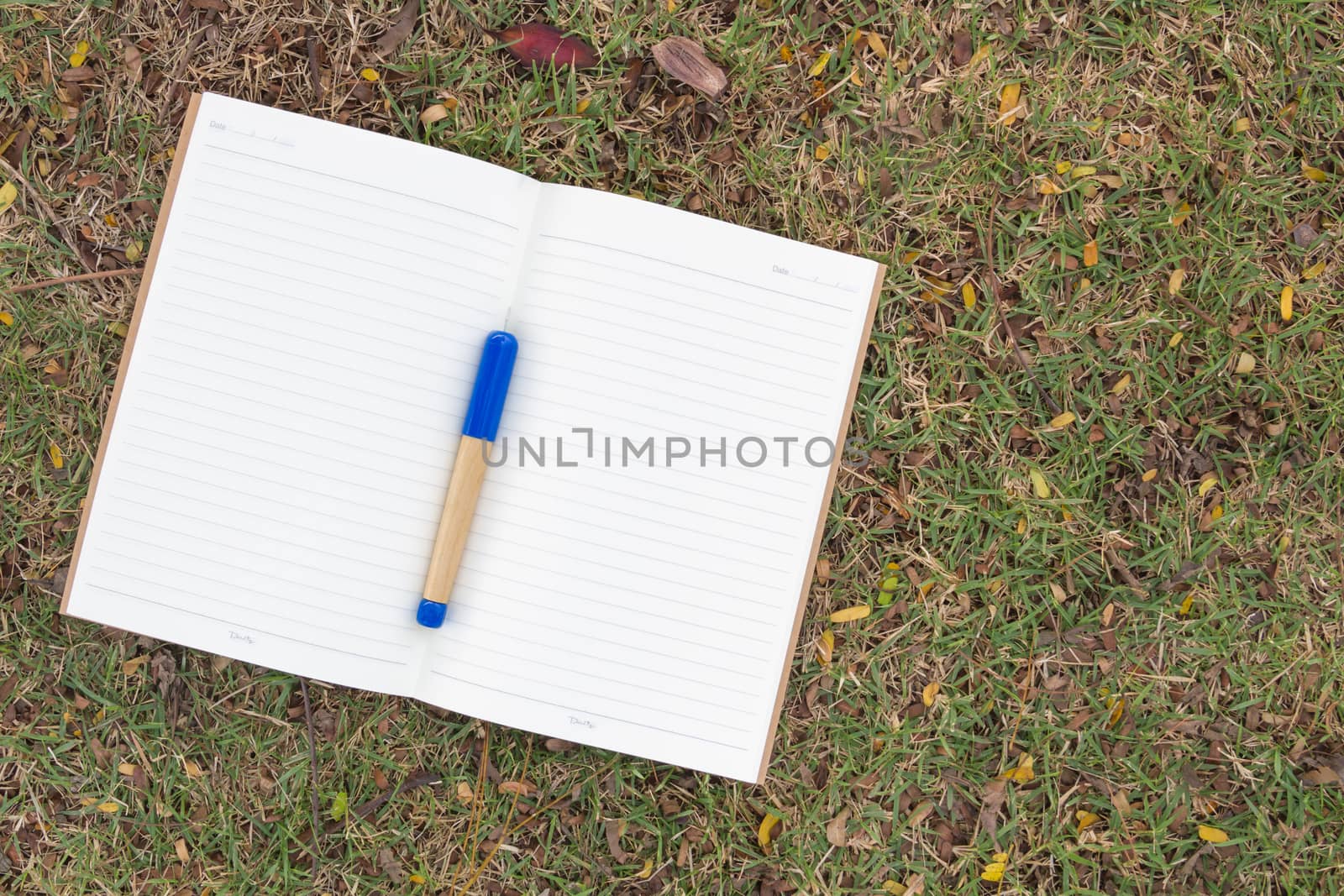 Blank notebook on the grass with blue pen in the park. View from above