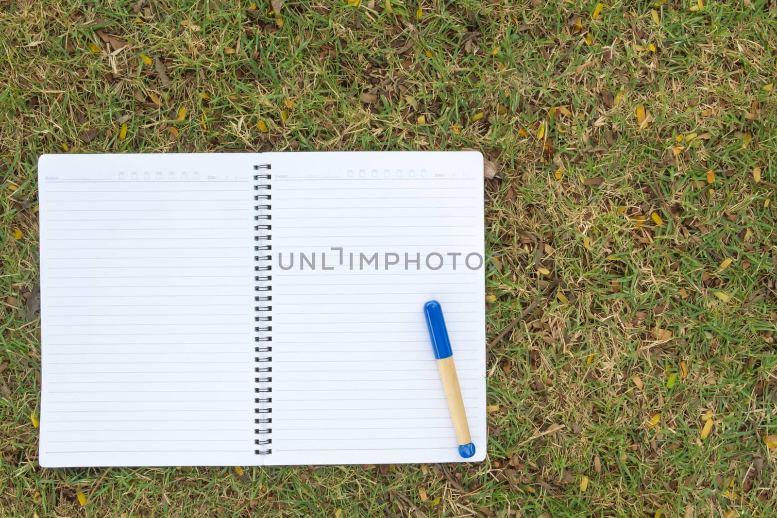 Blank notebook on the grass with blue pen in the park. View from above