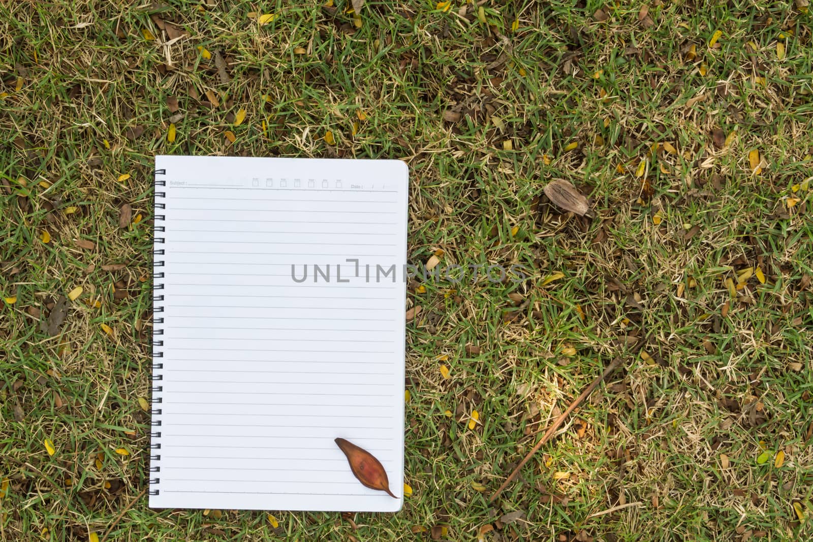 Blank notebook on the grass with bark in the park. View from above.