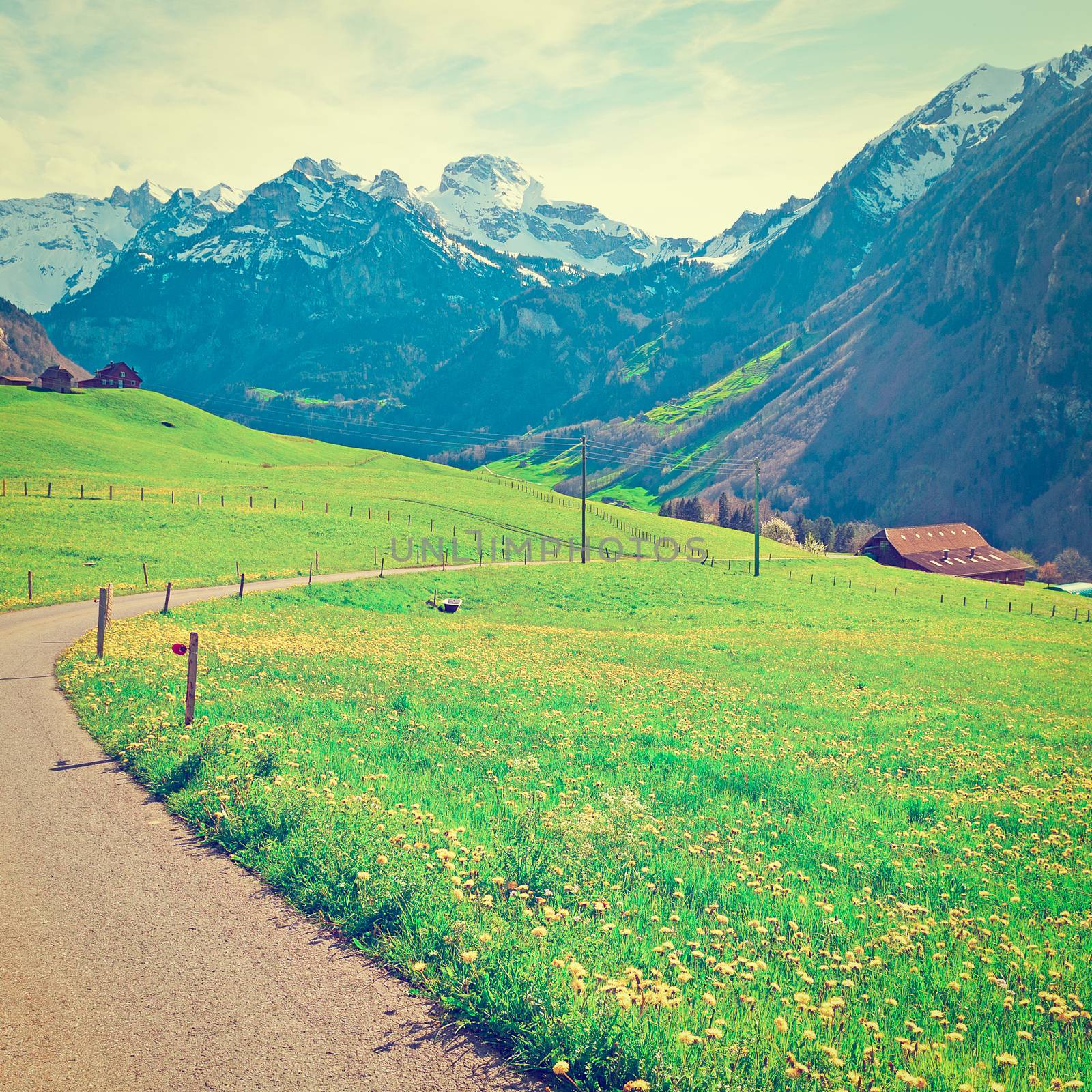 Asphalt Path Leading to the Farmhouse on the Alpine Pasture, Instagram Effect 