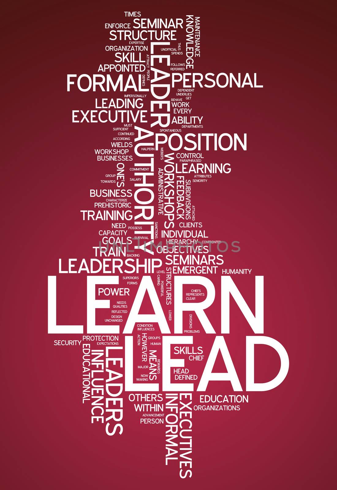 Word Cloud with Learn and Lead related tags