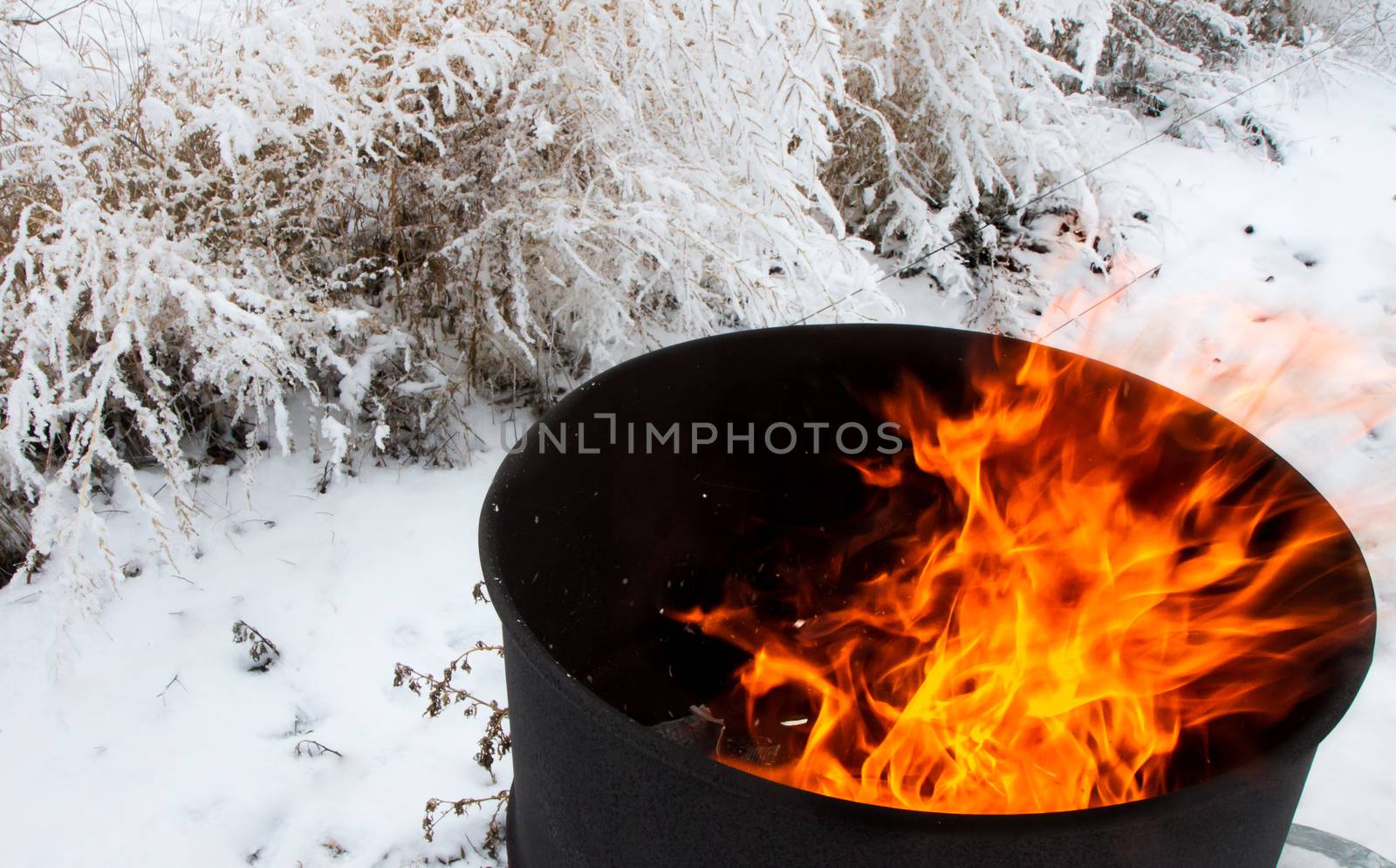 Barell burning either wood or garbage