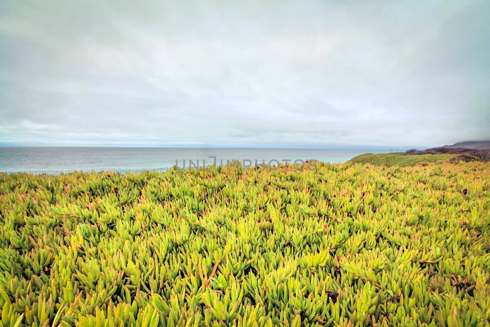 beach view with foggy sky from Big Sur, Highway 1, California, USA