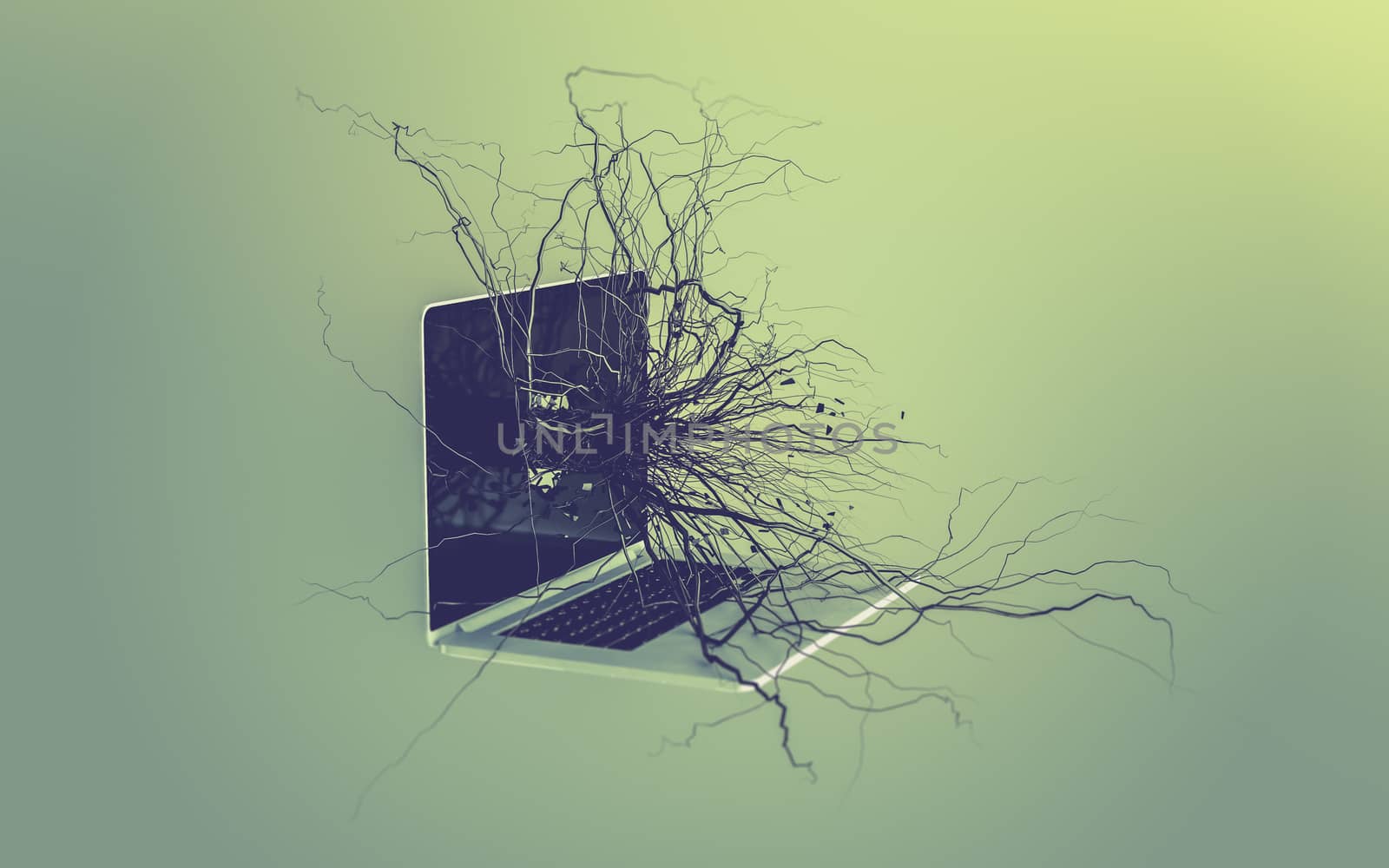Social media icons set on the root growing out of laptop. by teerawit