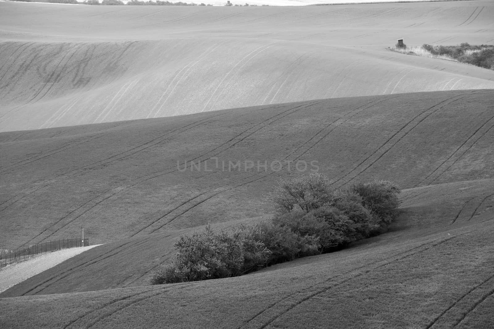 Arable lands in spring. Hunting box in Moravia hills. 