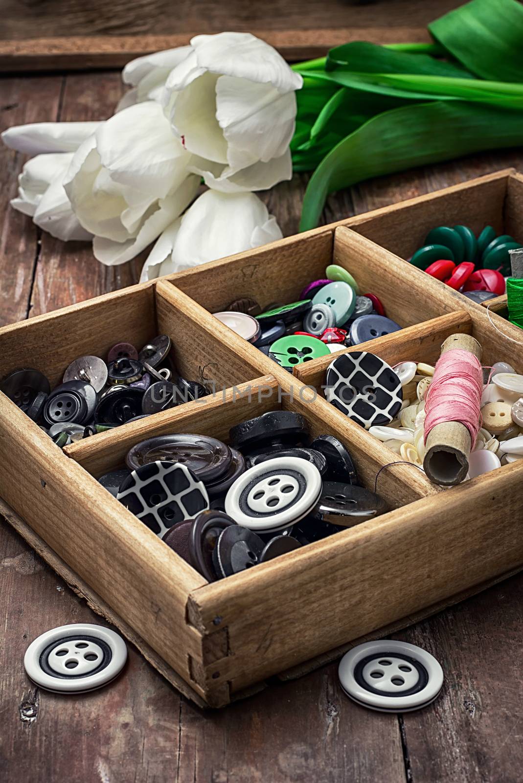 wooden box with buttons and thread on the background of bouquet of white tulips. image is tinted in vintage style