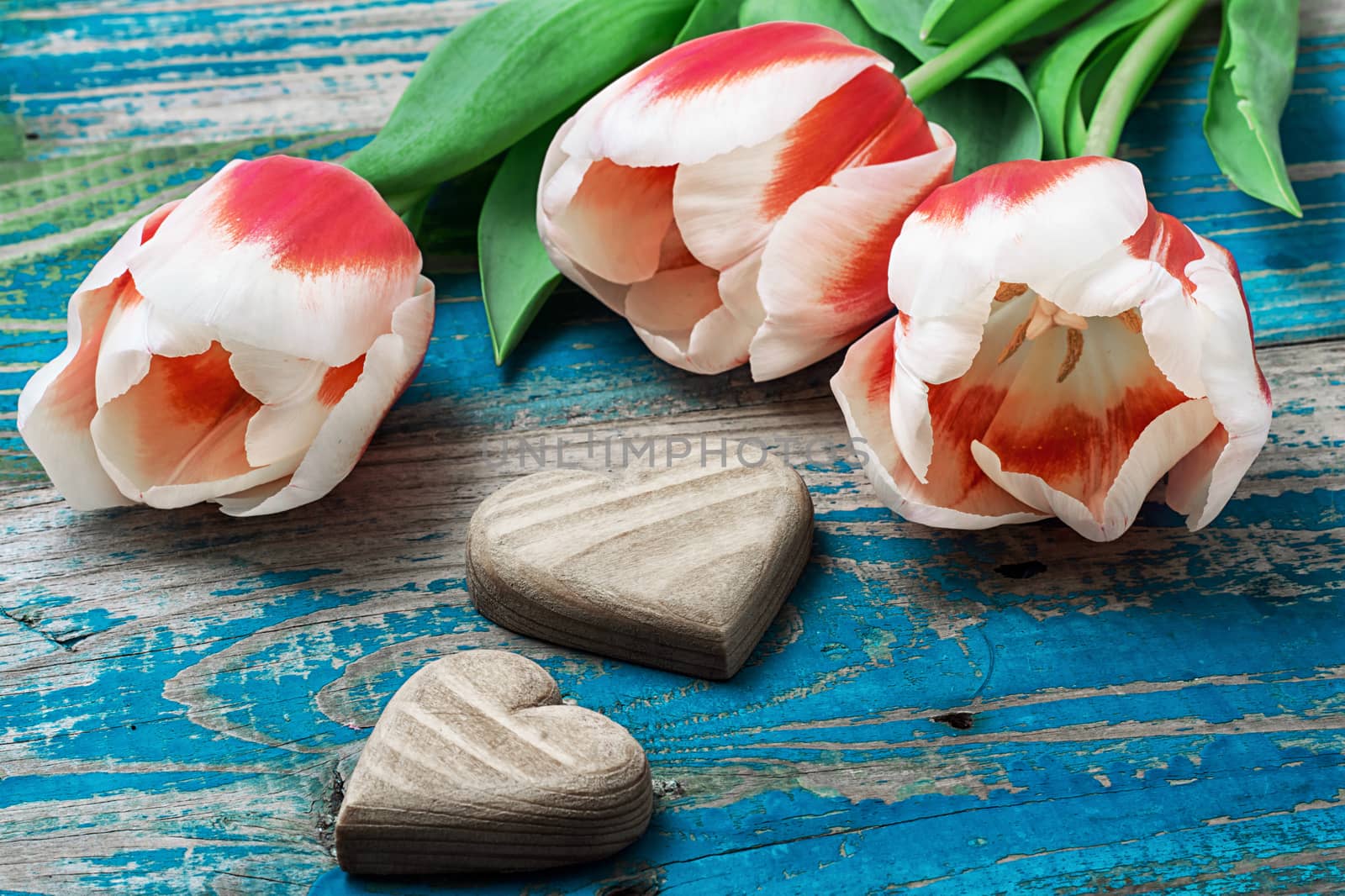 hand-carved symbolic wooden heart on a background red white Tulip